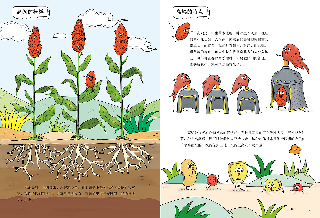 农业科普绘本（图ZMzQ3MzcxMjYw） - 绘本 - 站酷设计师我的王国原创素材 - 站酷ZCOOL