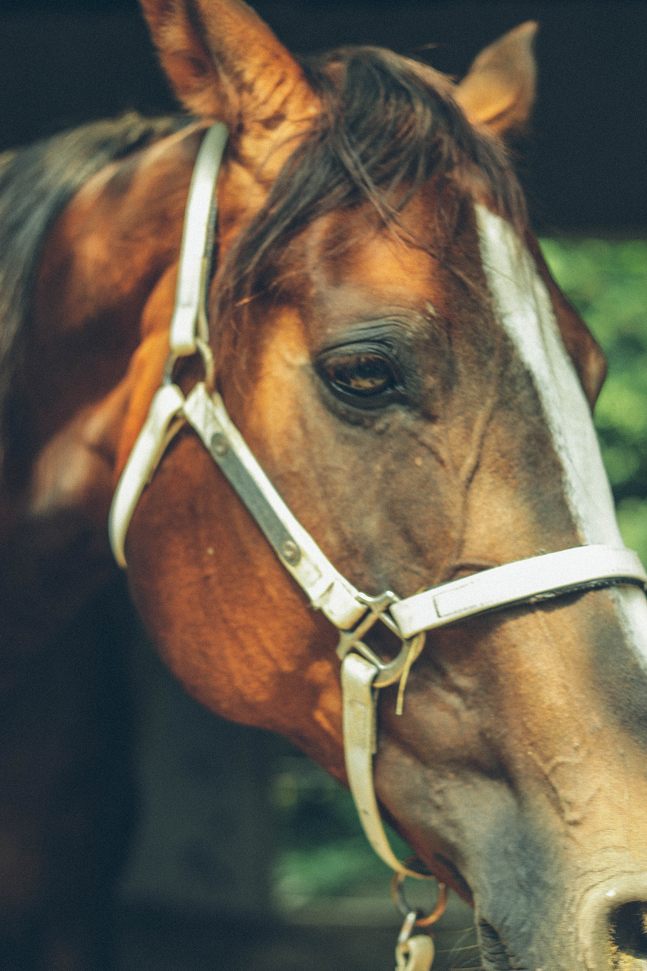 Summer Vibe（图ZMzQzMTg5NTQ0） - 人文/纪实摄影 - 站酷设计师木里MULI原创素材 - 站酷ZCOOL