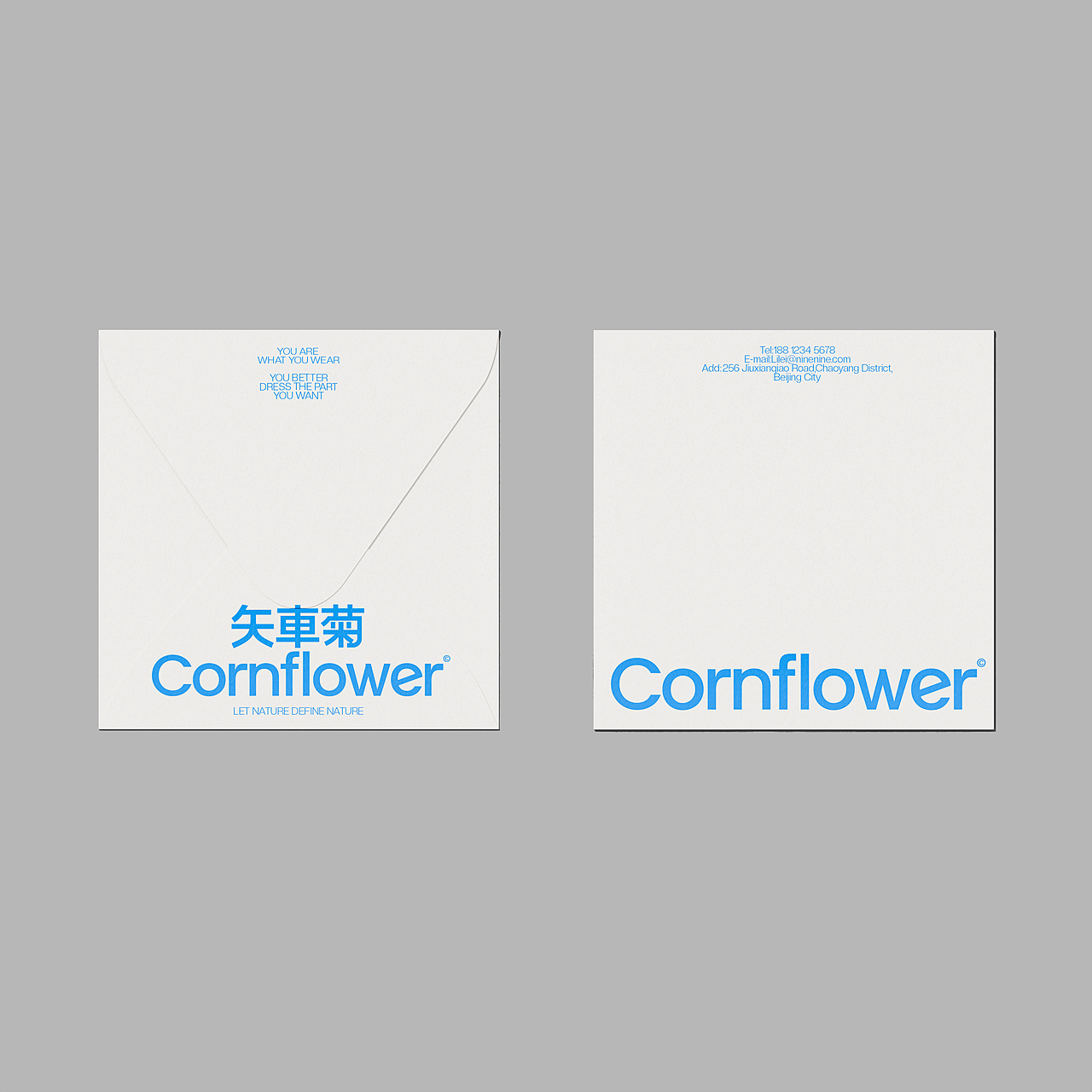 矢車菊Cornflower-由自然定义自然