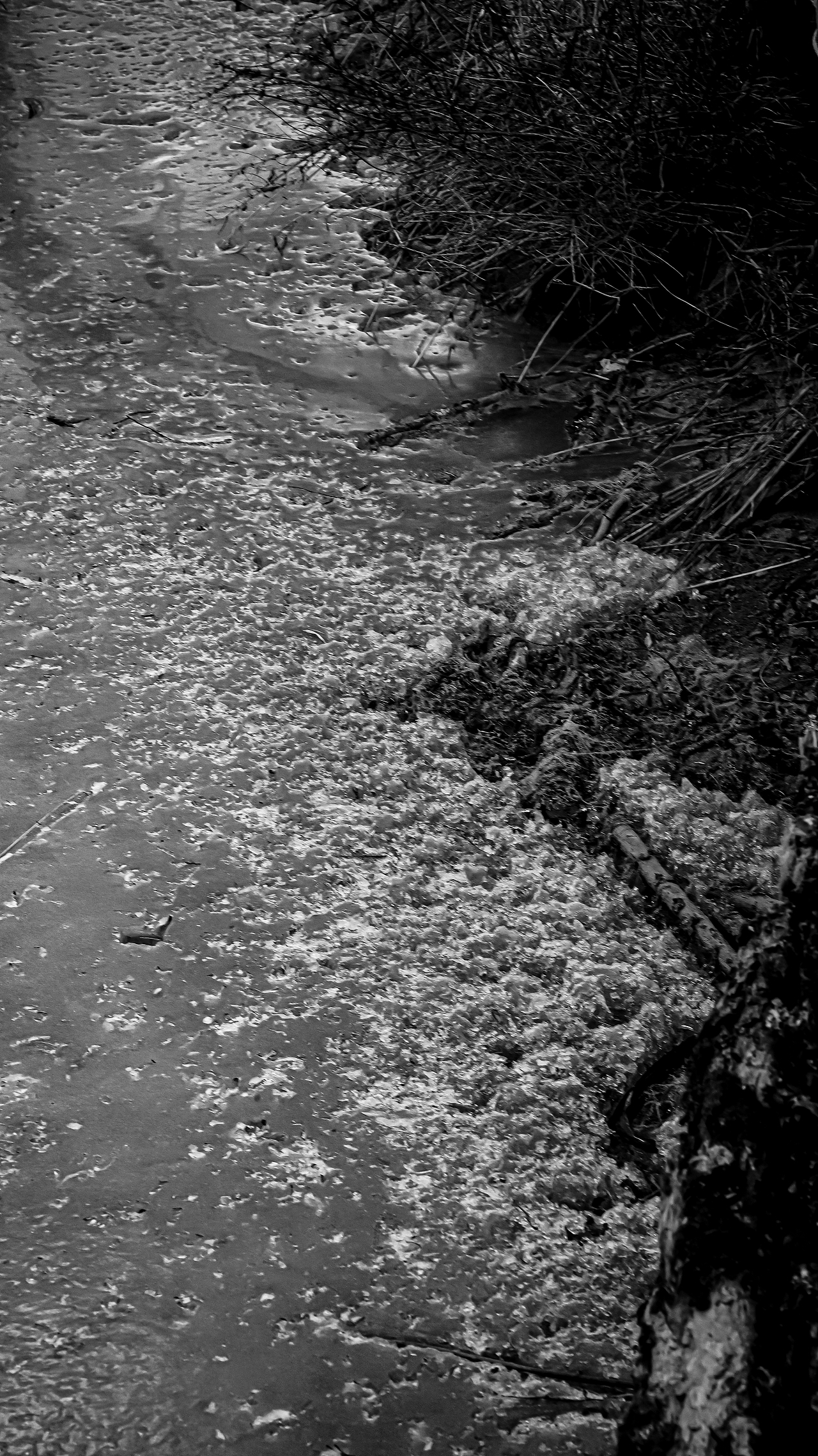 Natural Scenery丨成都《3》