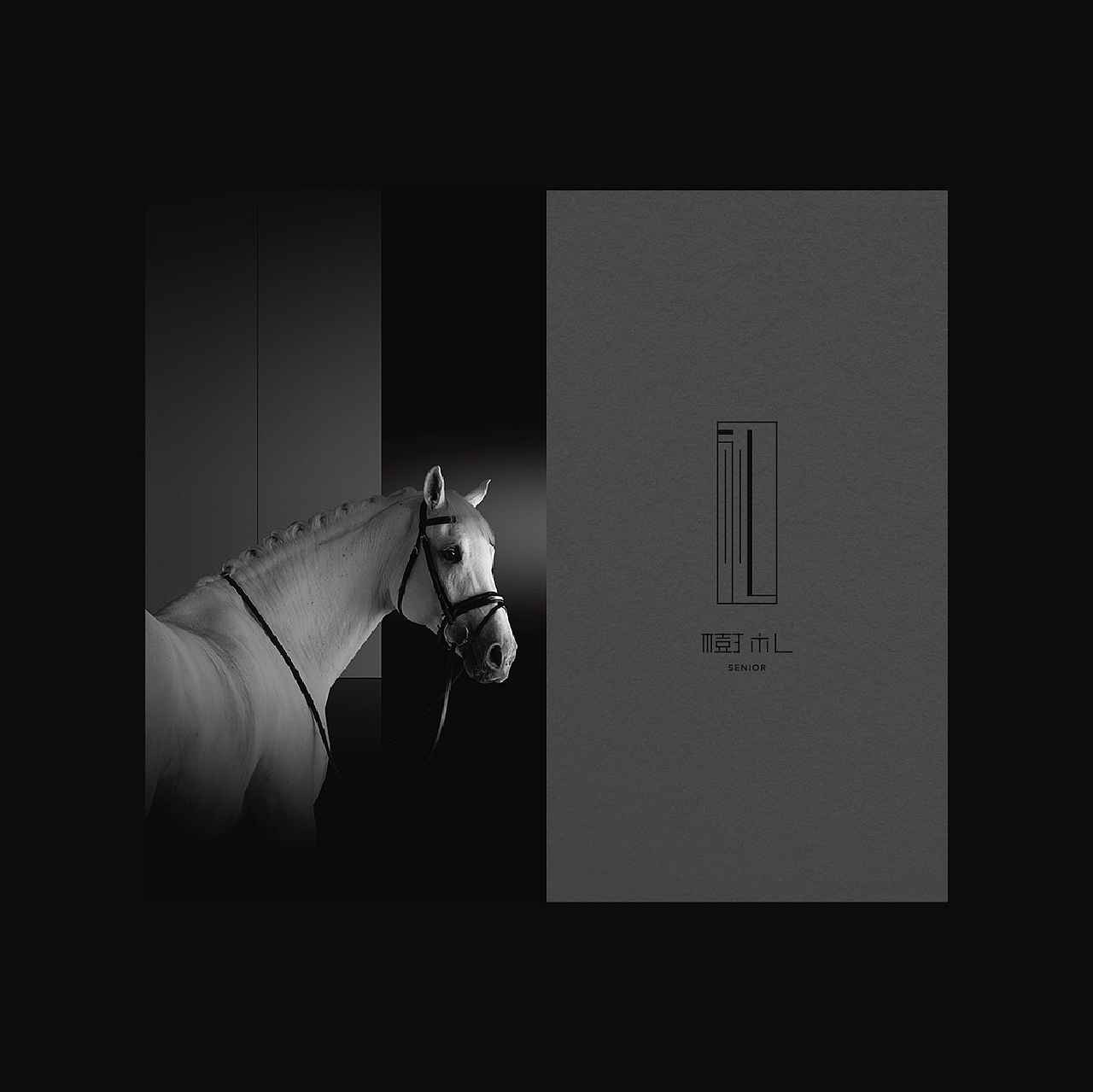 树礼高级定制品牌设计（图ZMzE3MzkzMTY0） - 品牌 - 站酷设计师沈明星品牌设计原创素材 - 站酷ZCOOL