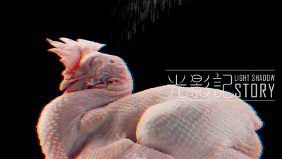 【视频】| 光影记™ ✖ 麻椒鸡 - 卤味麻椒鸡视频拍摄（图ZMzU1ODQ0NDIw） - 短片 - 站酷设计师光影记摄影工作室原创素材 - 站酷ZCOOL