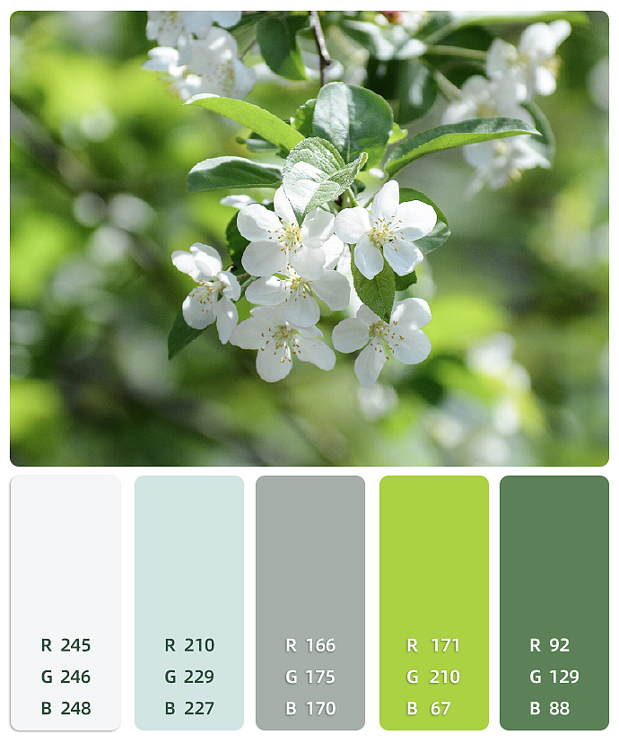 色彩练习（图ZMzM2OTMwNjc2） - 其他 - 站酷设计师爱笑的眼睛101010原创素材 - 站酷ZCOOL