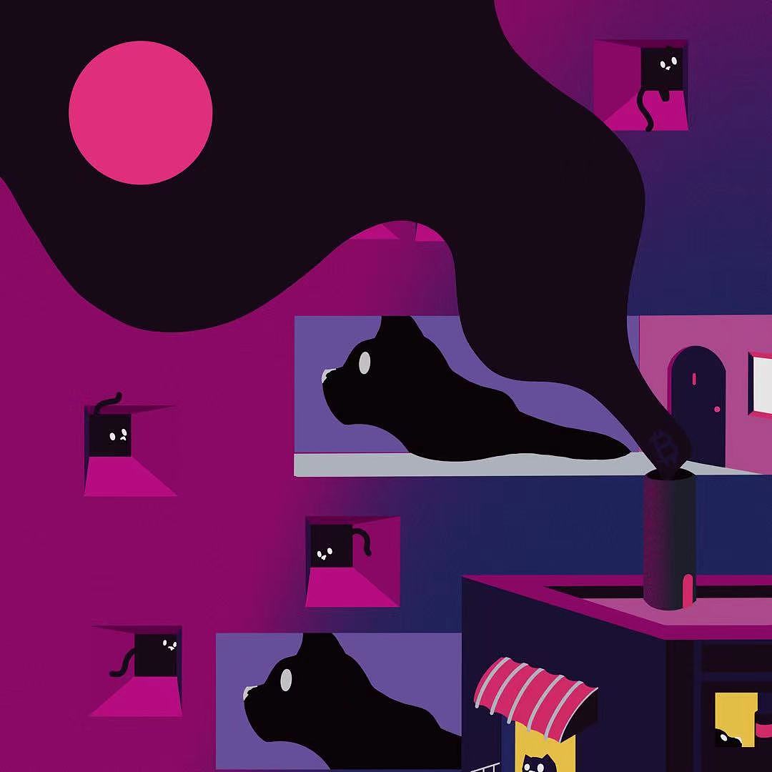 猫猫与比特币