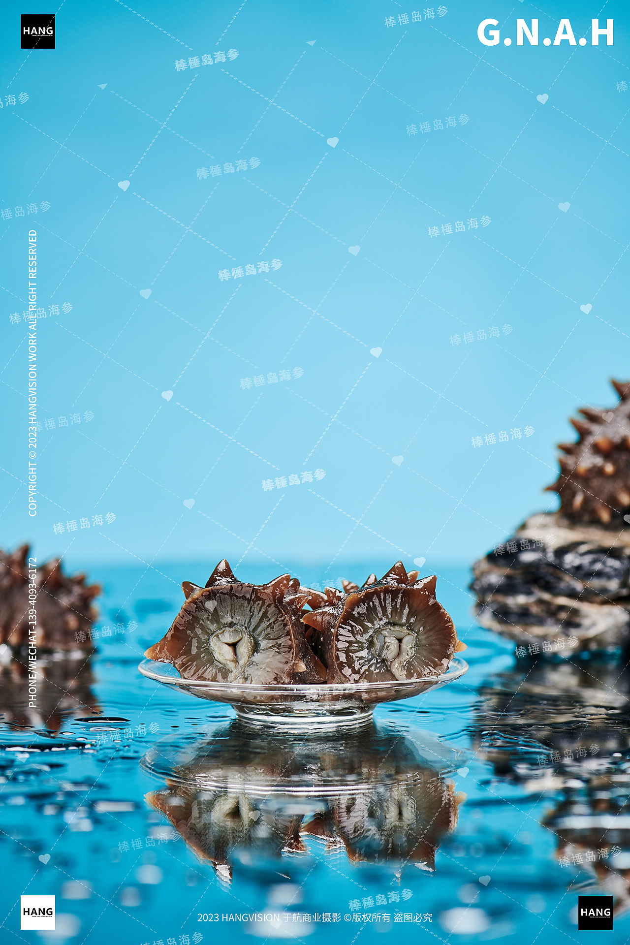 大连海参拍摄干海参即食海参棒棰岛野生海参海鲜拍摄