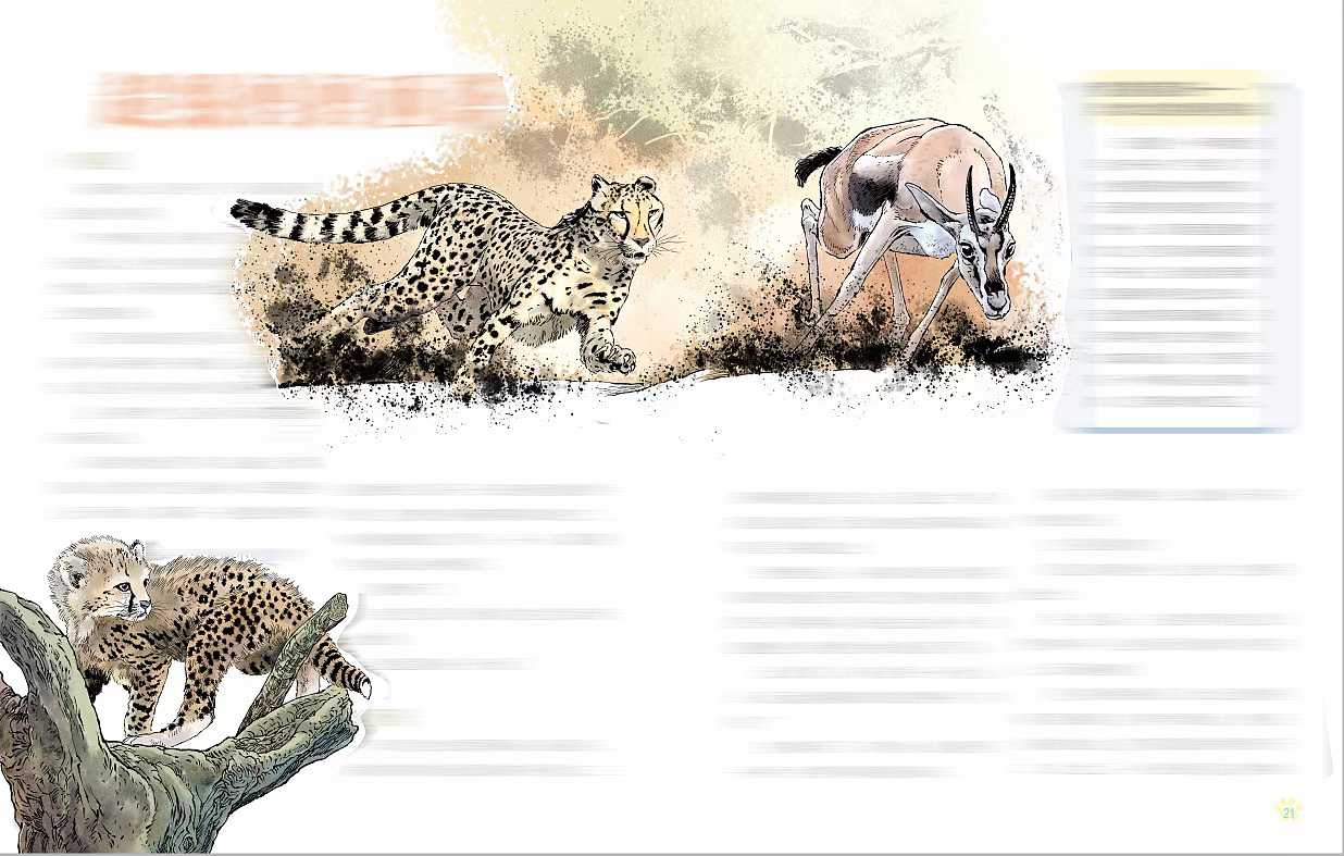 肖刚漫画写实插画,动物插画,图书插画