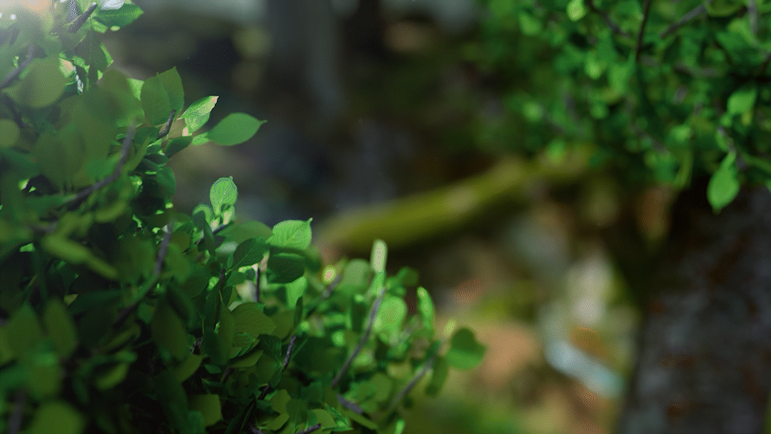 石头 萝卜兔CG动画短片