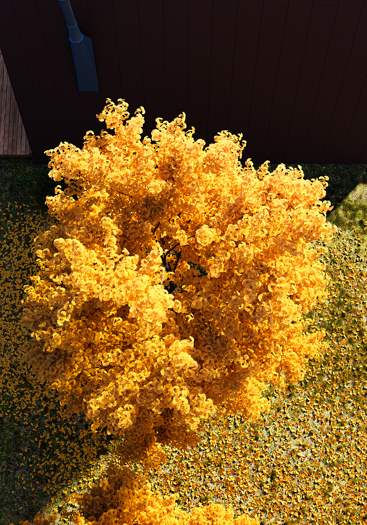 印象 -《 秋 》（图ZMjk3OTgyNTUy） - 建筑/空间 - 站酷设计师paladin9270原创素材 - 站酷ZCOOL