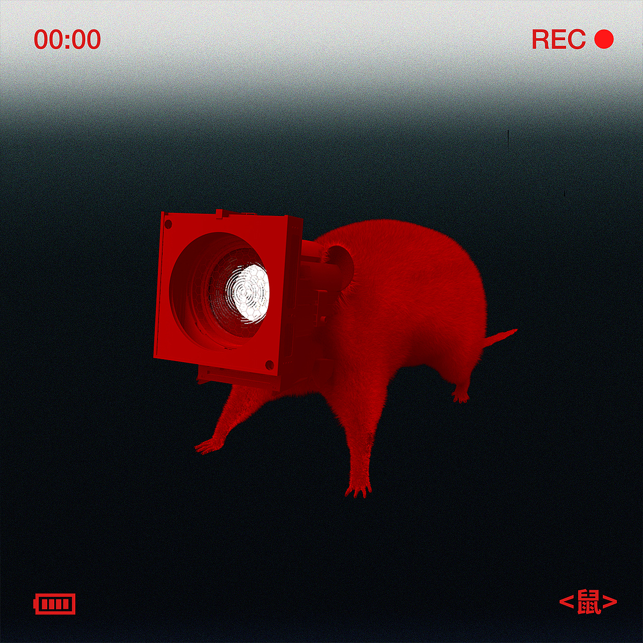 #2022青春答卷#动物园