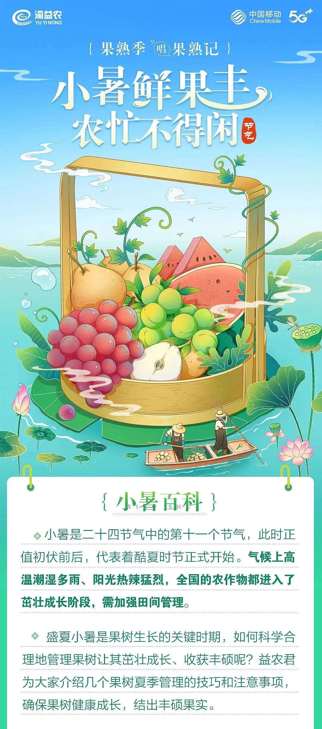 二十四节气之:小暑