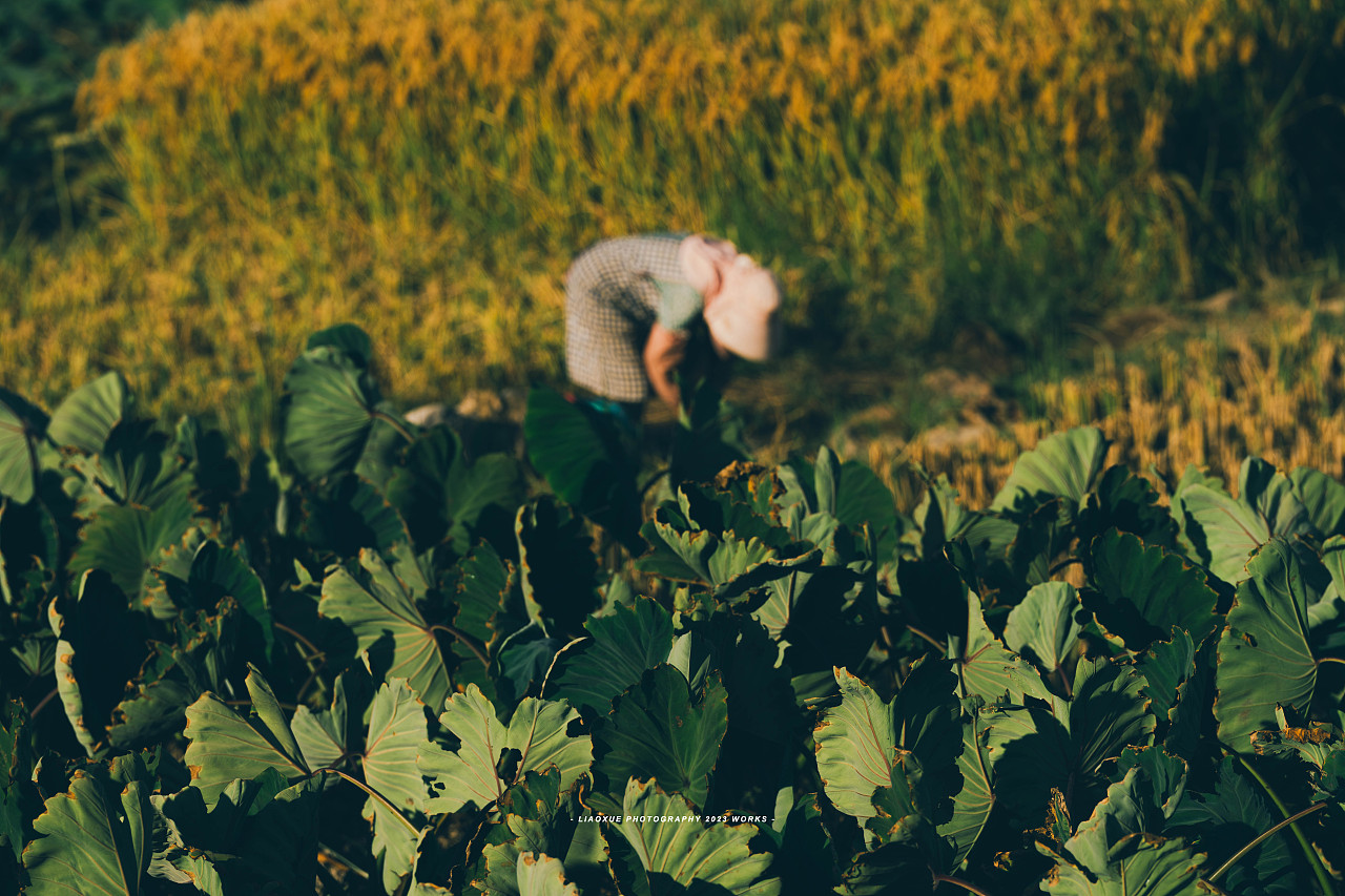 旅行摄影流水帐|镜头里的秋（图ZMzUzMDI5MDI4） - 人文/纪实摄影 - 站酷设计师雪小廖原创素材 - 站酷ZCOOL