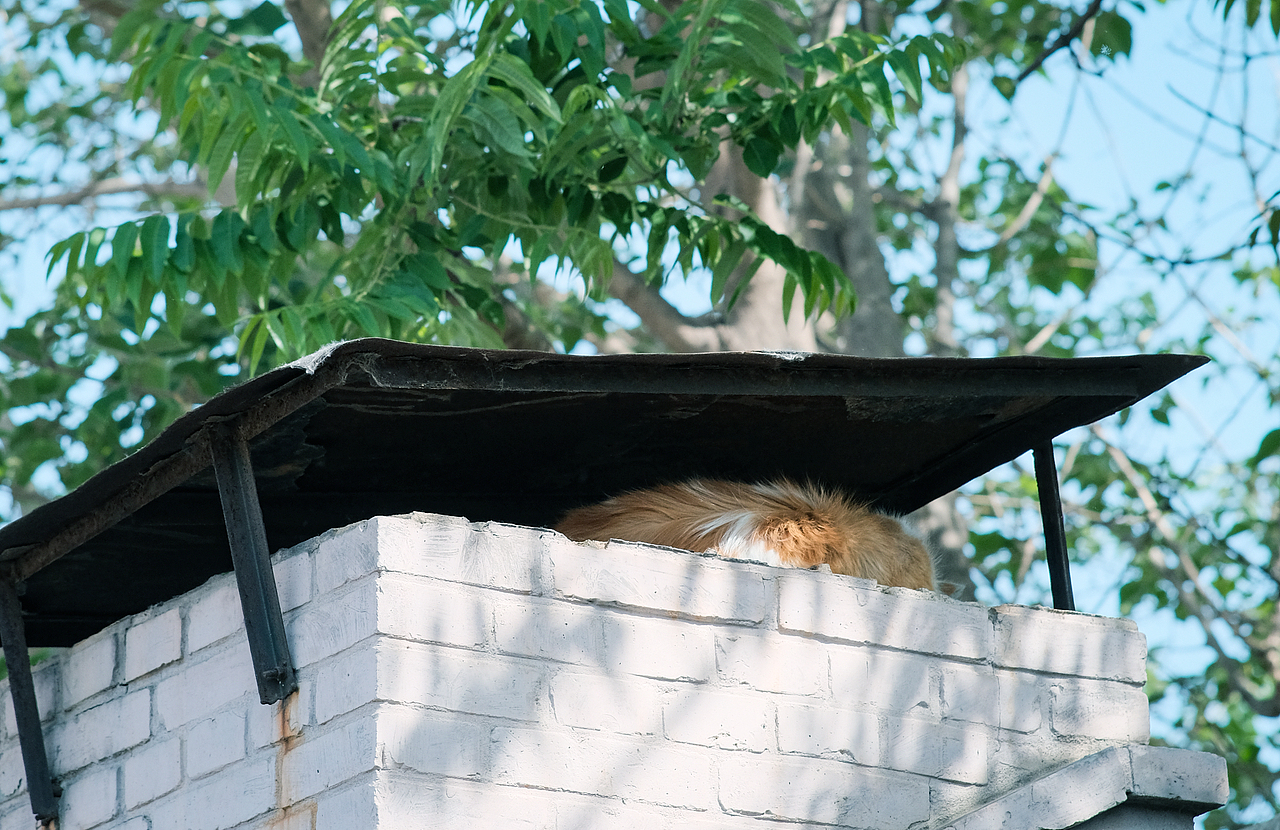 北京城（图ZMjk5NjYwODg0） - 人文/纪实摄影 - 站酷设计师司徒秃了原创素材 - 站酷ZCOOL