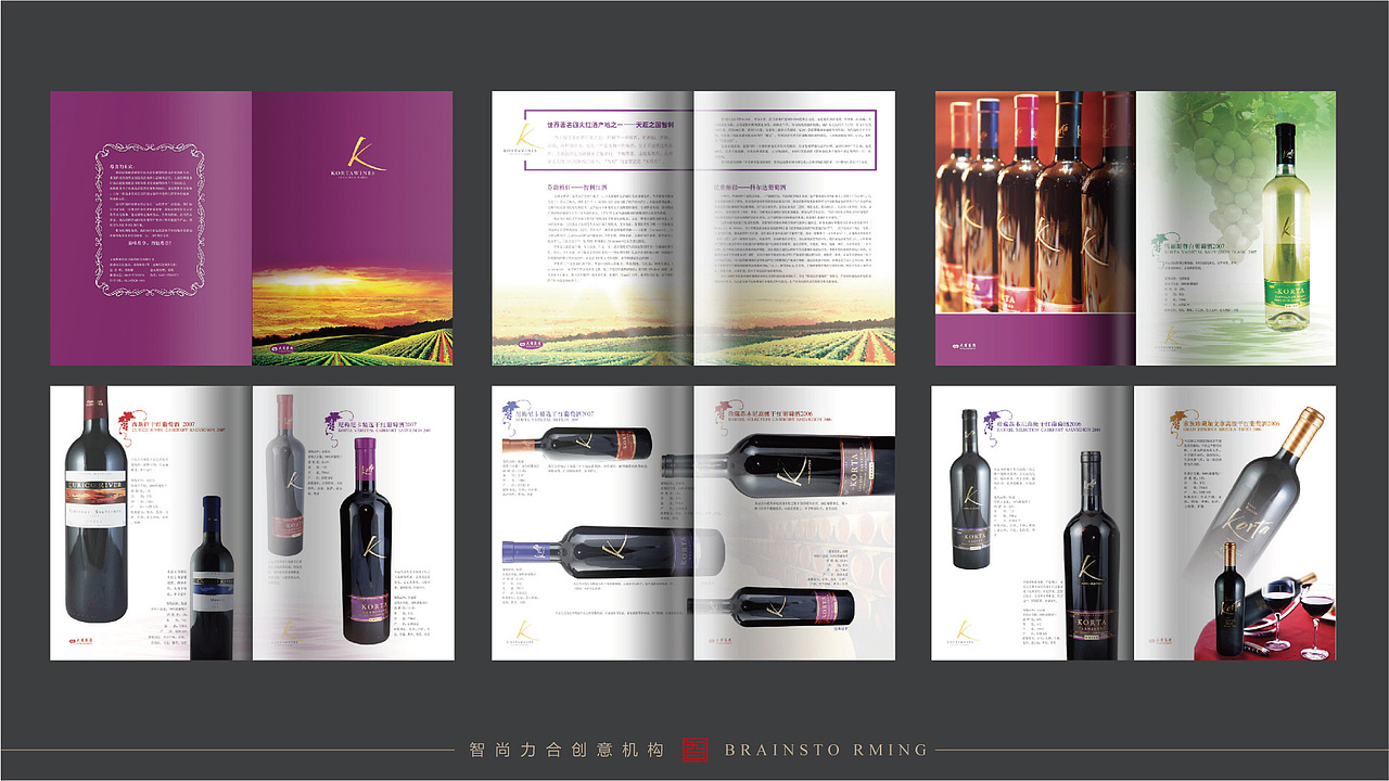 logo vi 海报 画册设计品牌包装策划 北京智尚力合创意