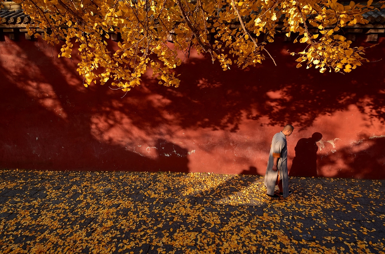 古建筑摄影：嵩山少林寺的秋