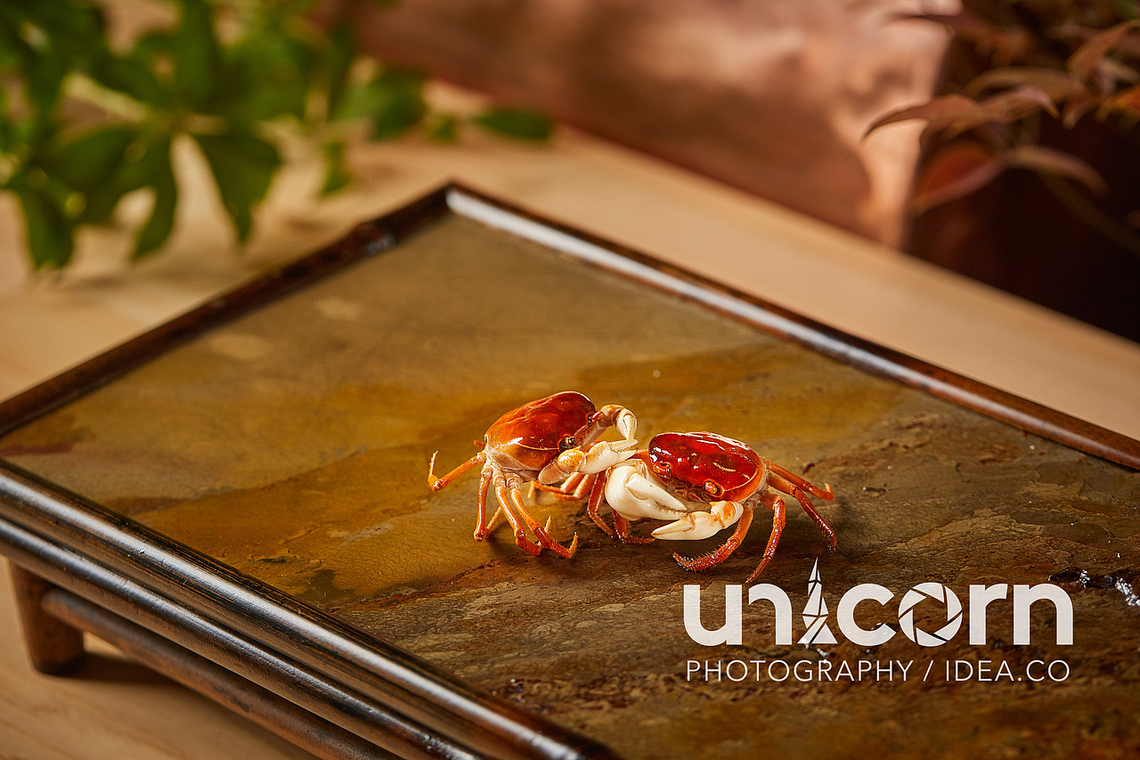 美食摄影 | 捌席·天婦羅(珠光新城店)