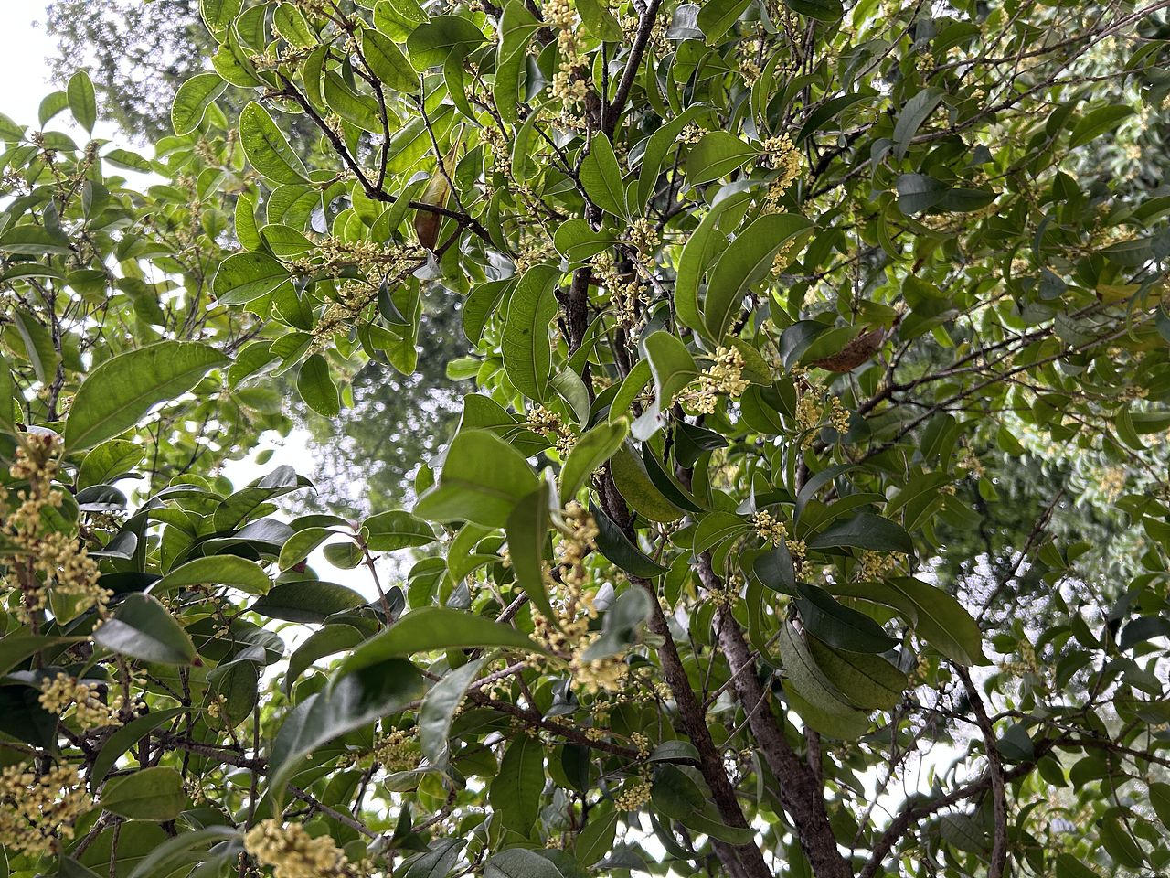 節(jié)假日的美好發(fā)現(xiàn)（圖ZMzUyMzY5ODQw） - 風(fēng)光攝影 - 站酷設(shè)計師摩卡生椰原創(chuàng)素材 - 站酷ZCOOL