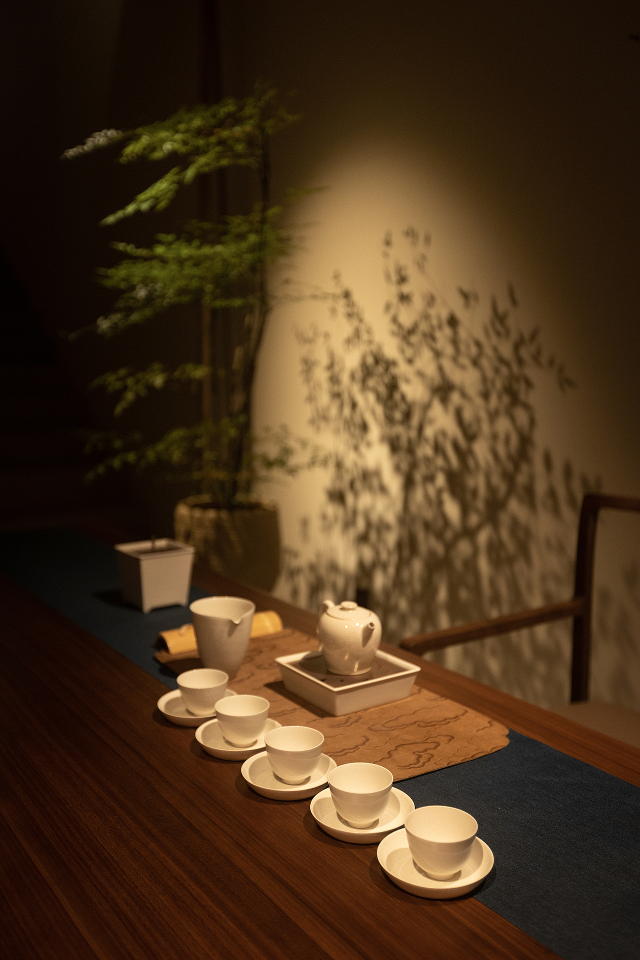 多少MoreLess家具空间植物设计｜空间摄影（图ZMzM5OTc4NTU2） - 环境/建筑摄影 - 站酷设计师张锦影像工作室原创素材 - 站酷ZCOOL