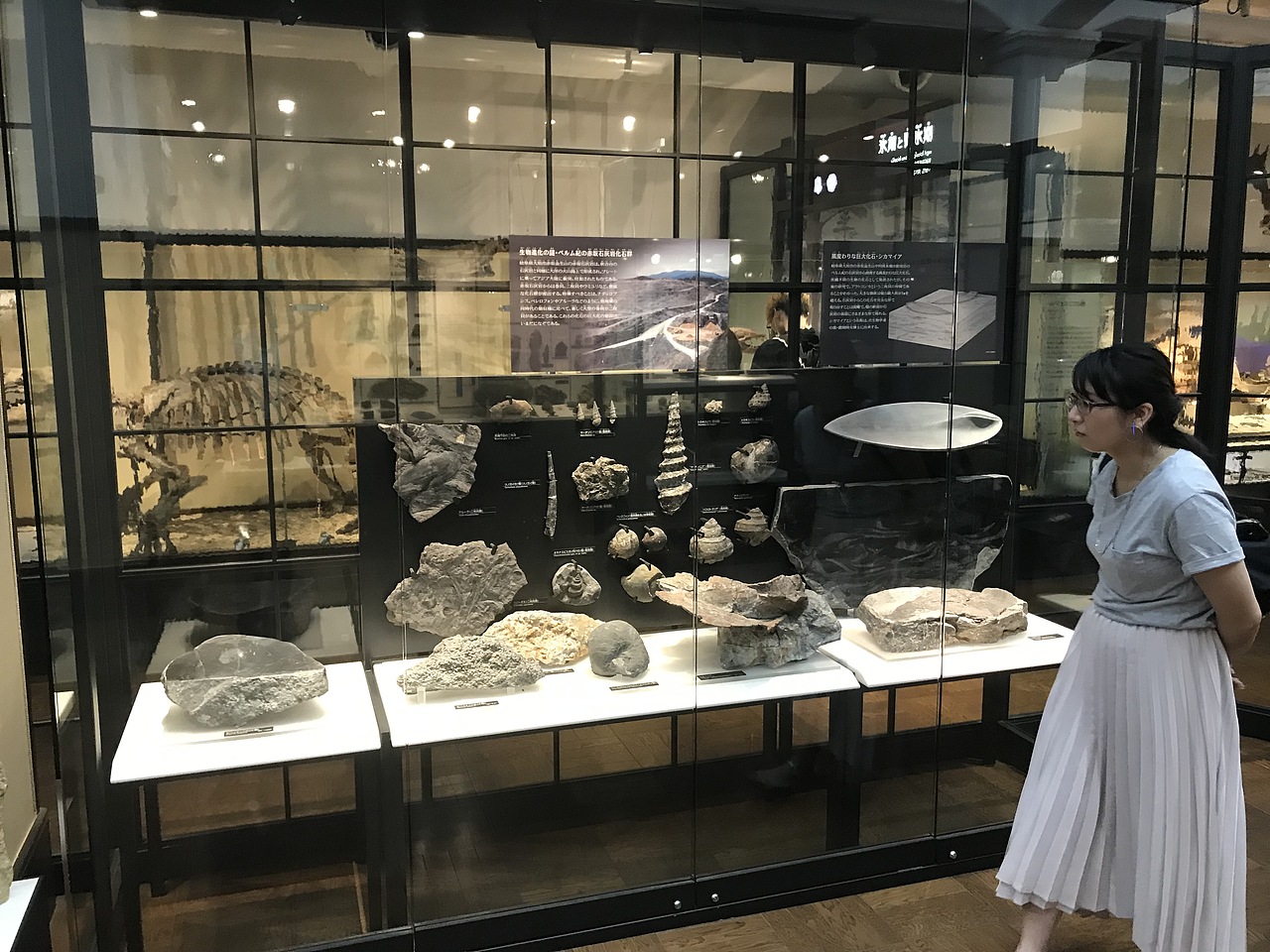 东京国立科学博物馆（图ZMzA5OTUxNjAw） - 展陈设计 - 站酷设计师JIANG2015原创素材 - 站酷ZCOOL