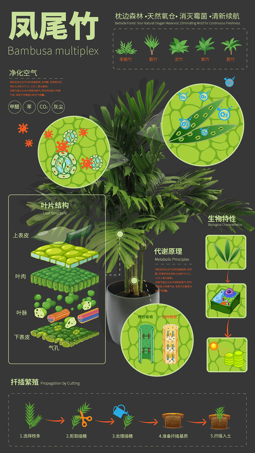 科普风格的动态信息图表（图ZMzcwMzM4NzU2） - 信息图表 - 站酷设计师usee看不见原创素材 - 站酷ZCOOL