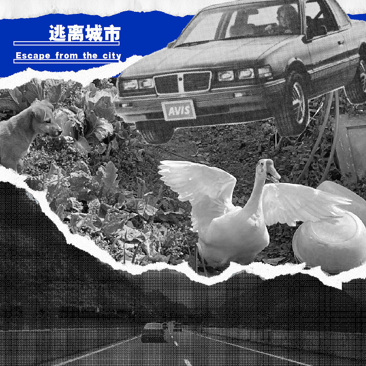 第十九天-拼贴风-逃离城市（图ZMzMzODQyOTY0） - 海报 - 站酷设计师Yu恒原创素材 - 站酷ZCOOL