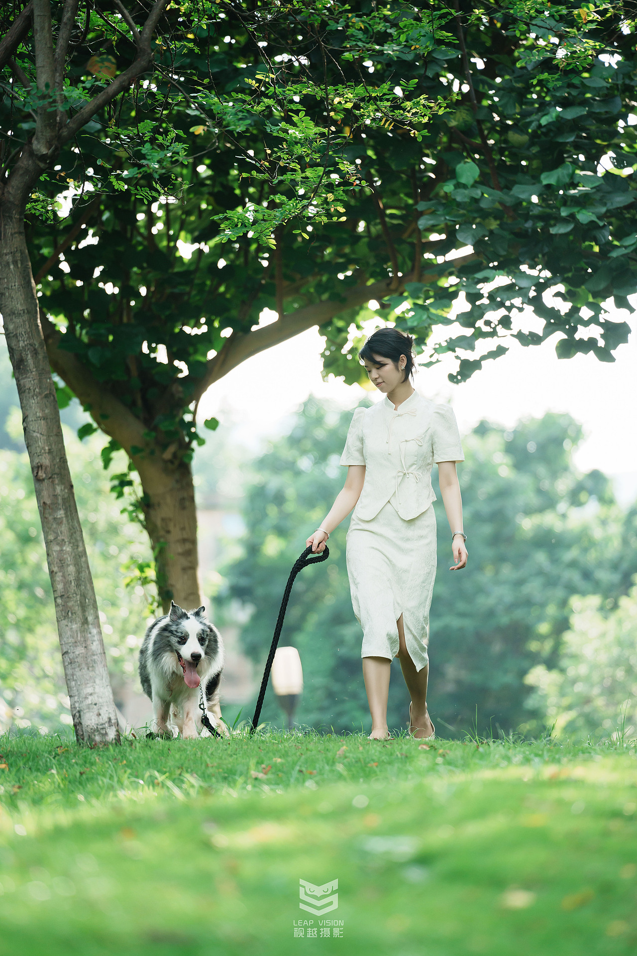 藍(lán)隕石邊牧拍攝（圖ZMzQzMDE2MTUy） - 寵物攝影 - 站酷設(shè)計師小樣攝影原創(chuàng)素材 - 站酷ZCOOL