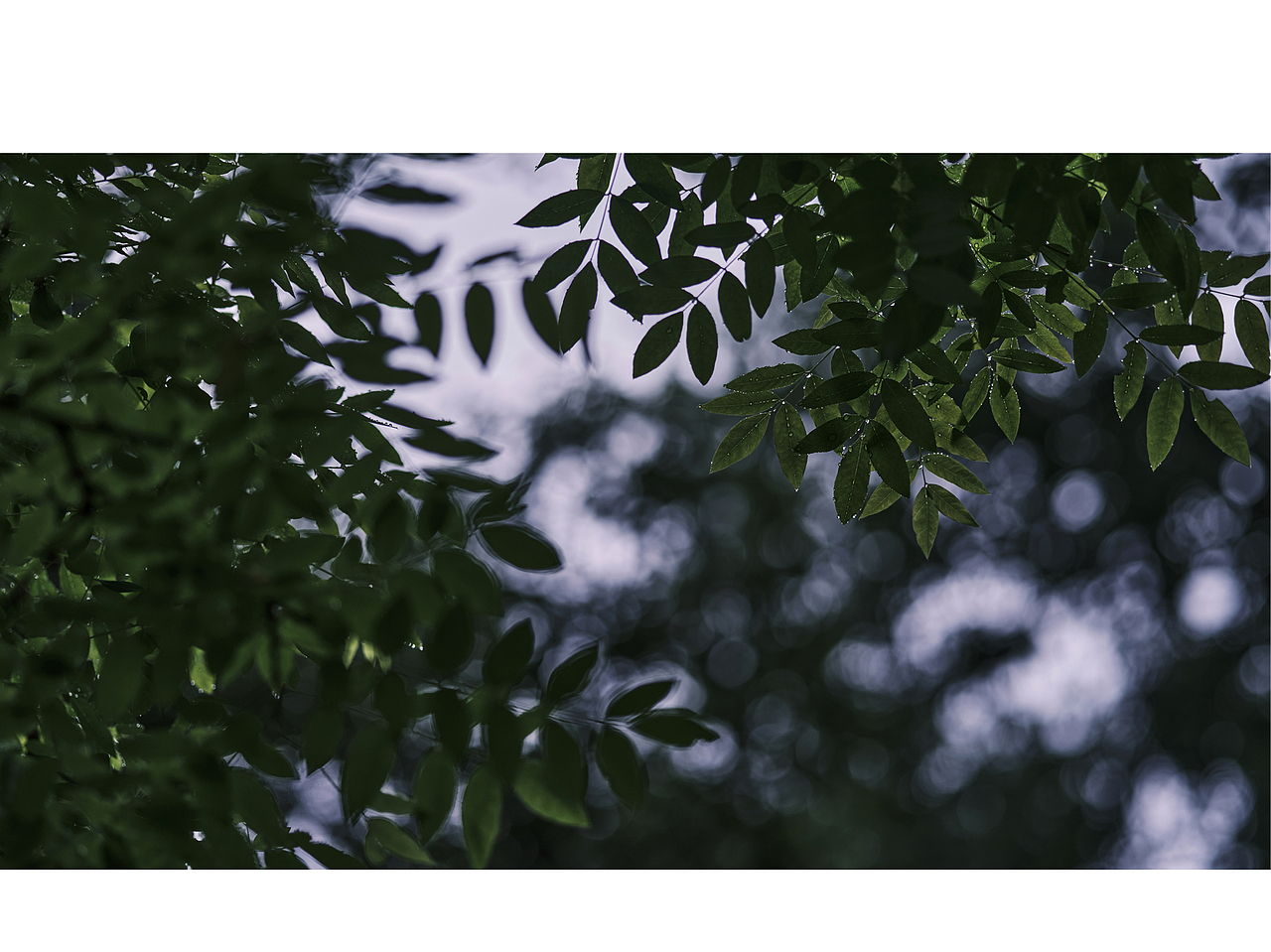 杭州乌龟潭景区(节选)