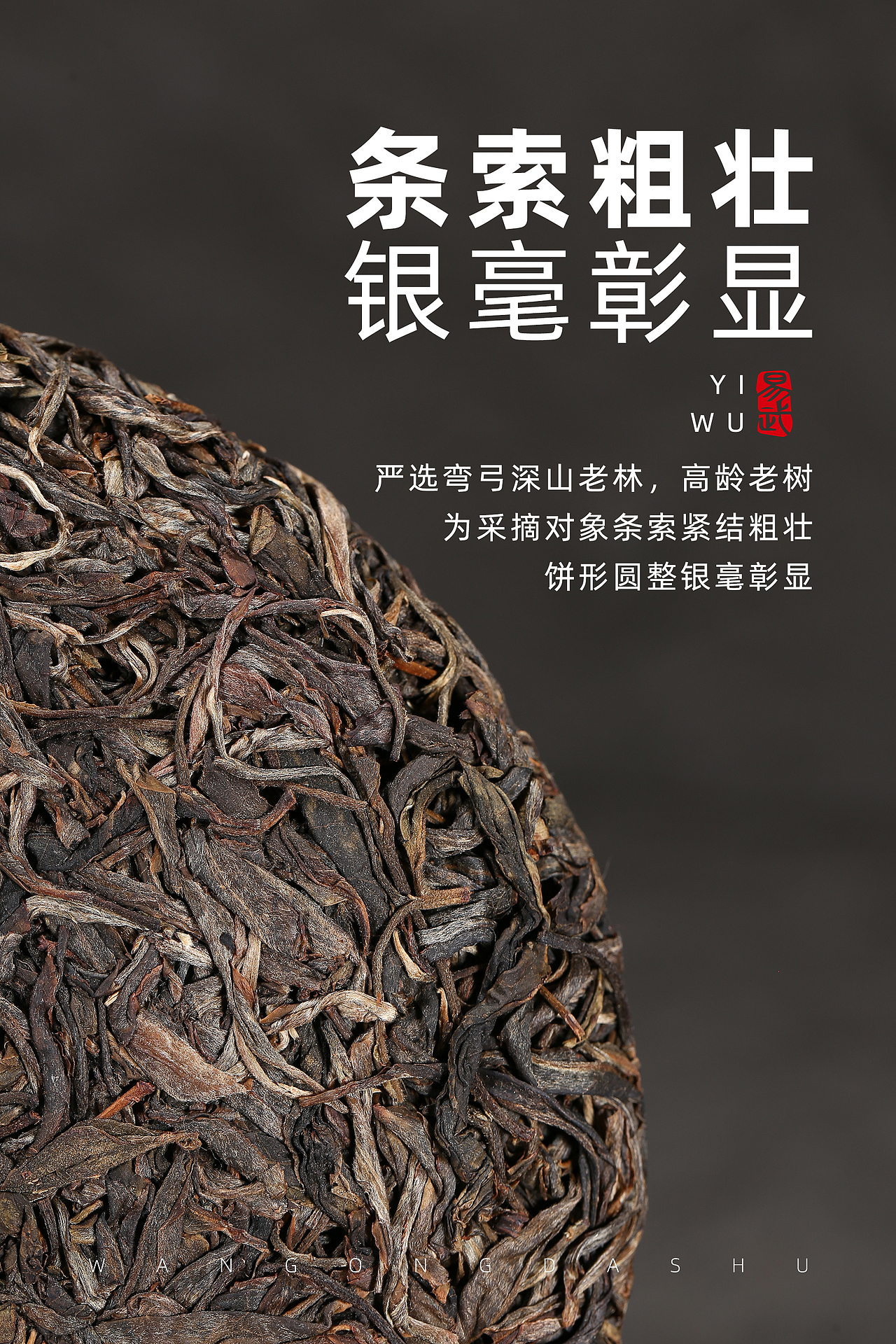 茶叶摄影（普洱生茶-弯弓大树）