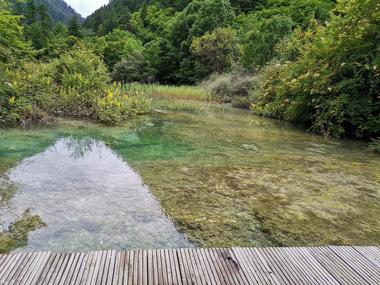 五彩缤纷九寨沟(下)