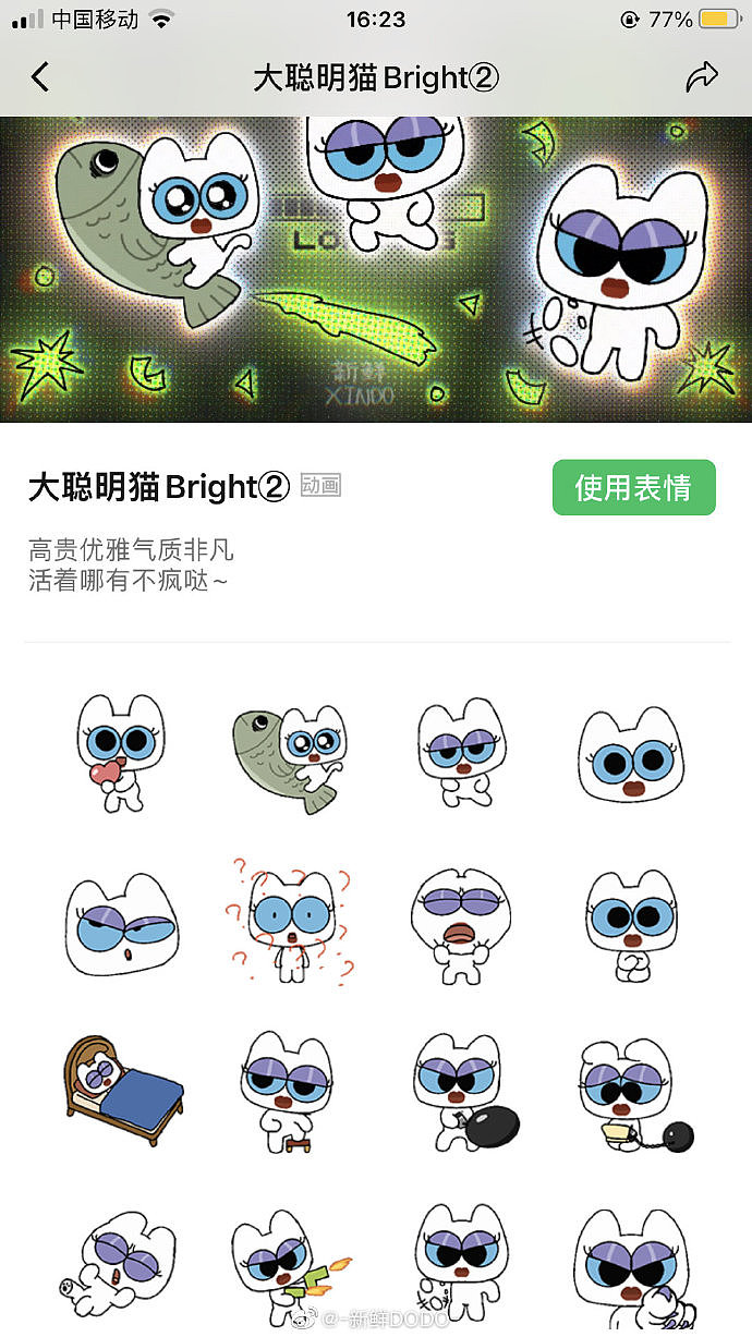 【大聪明猫bright②】已上线