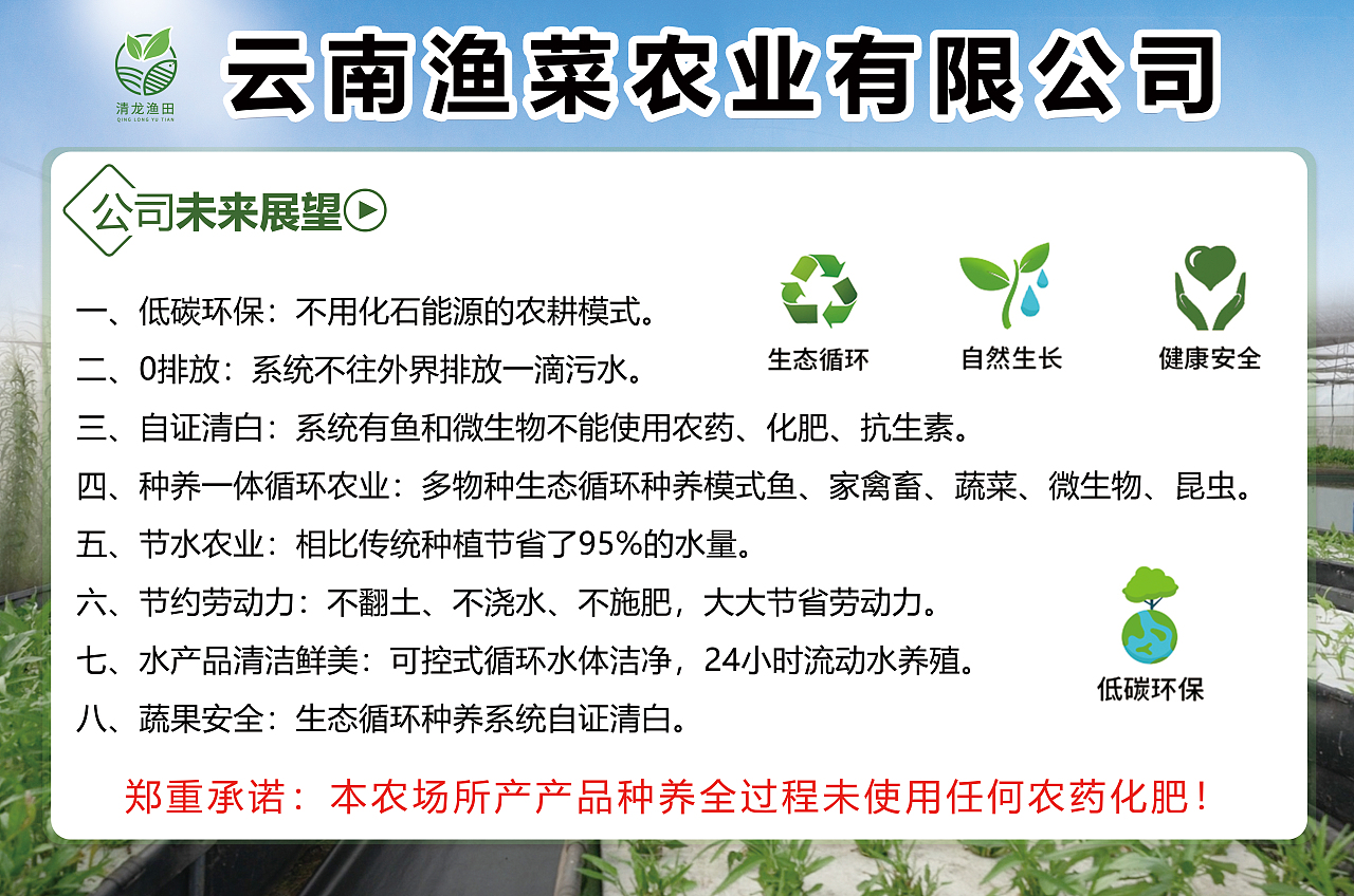 农业公司宣传栏设计作品!