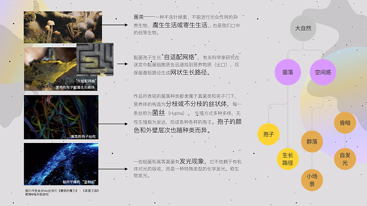 菌落：立体投影装置设计（图ZMjk2OTIyMzQ4） - 展陈设计 - 站酷设计师fangvivivhoney原创素材 - 站酷ZCOOL