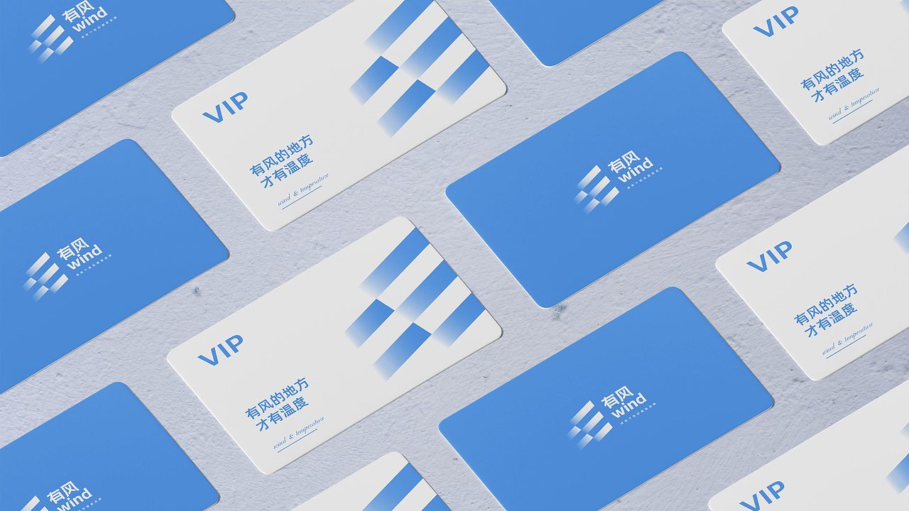 有风服饰品牌提案