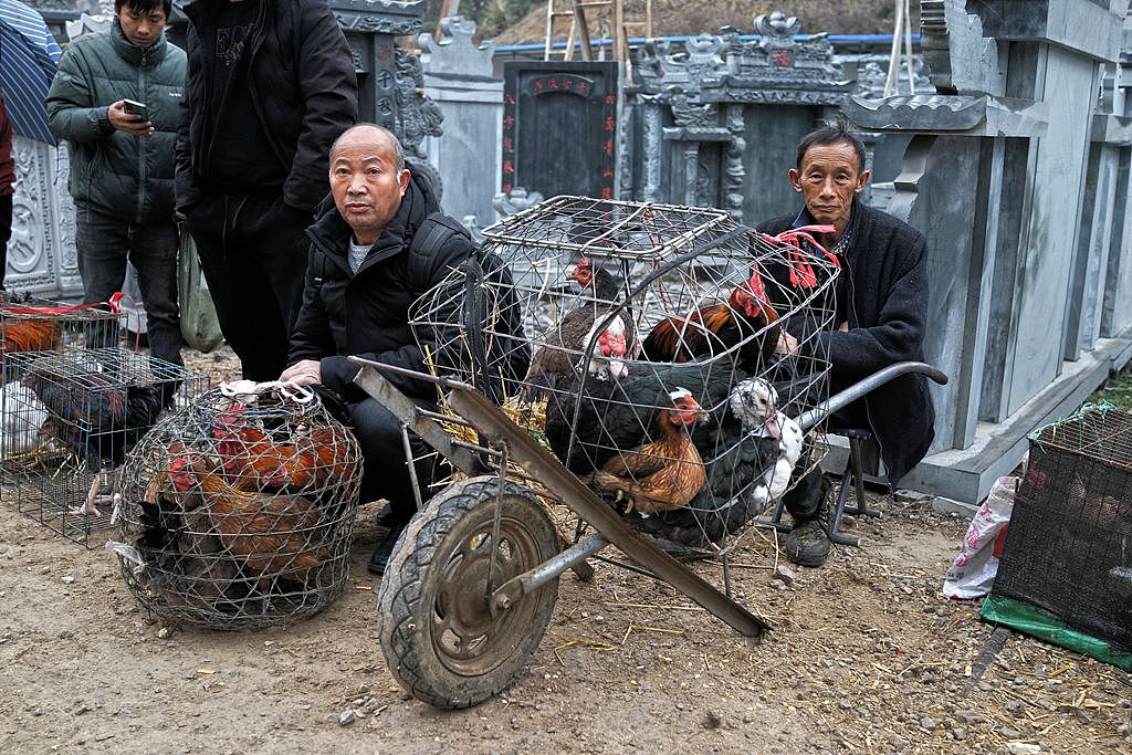 【贵州最大的露天集市——下司集】（图ZMzM2MTAxMDI0） - 人文/纪实摄影 - 站酷设计师子禾哥哥原创素材 - 站酷ZCOOL