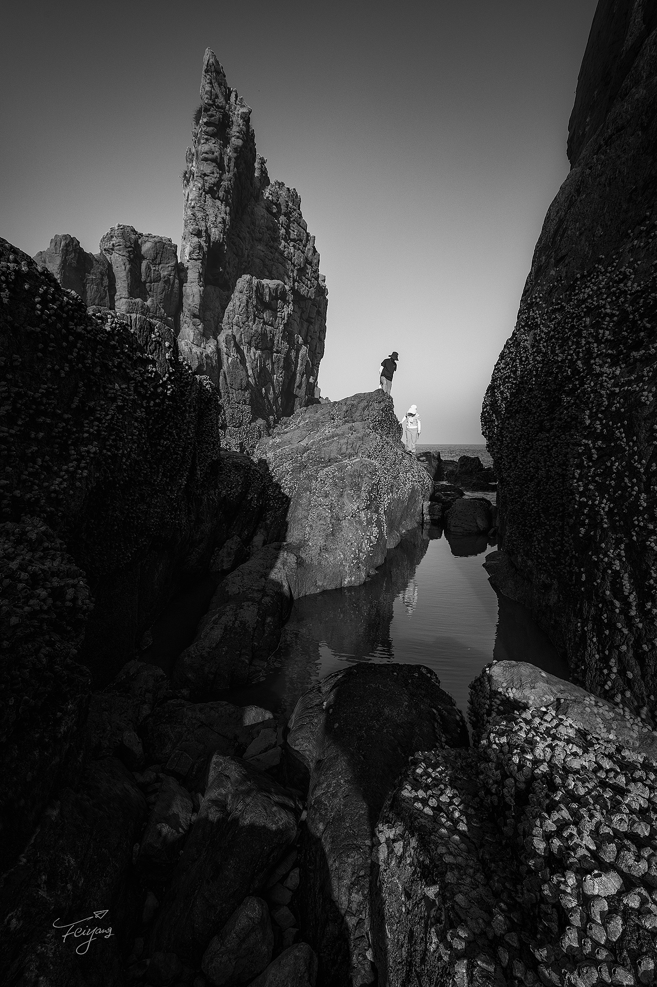 23张照片  代表过去的一年