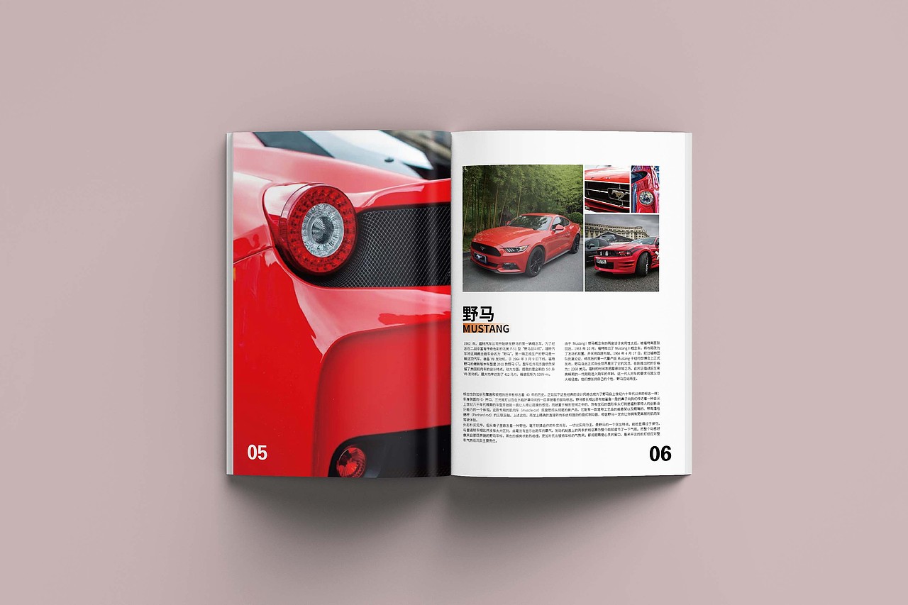 肌肉车画册