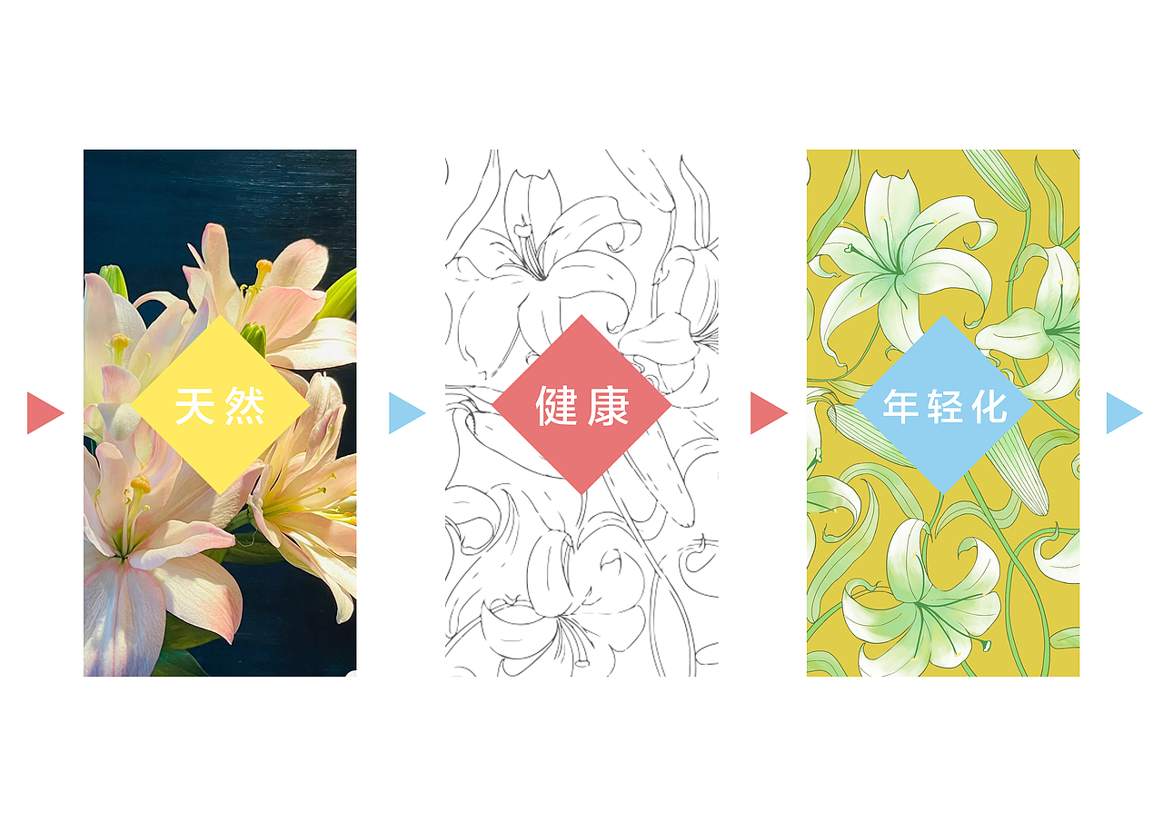 云华花茶插画包装设计