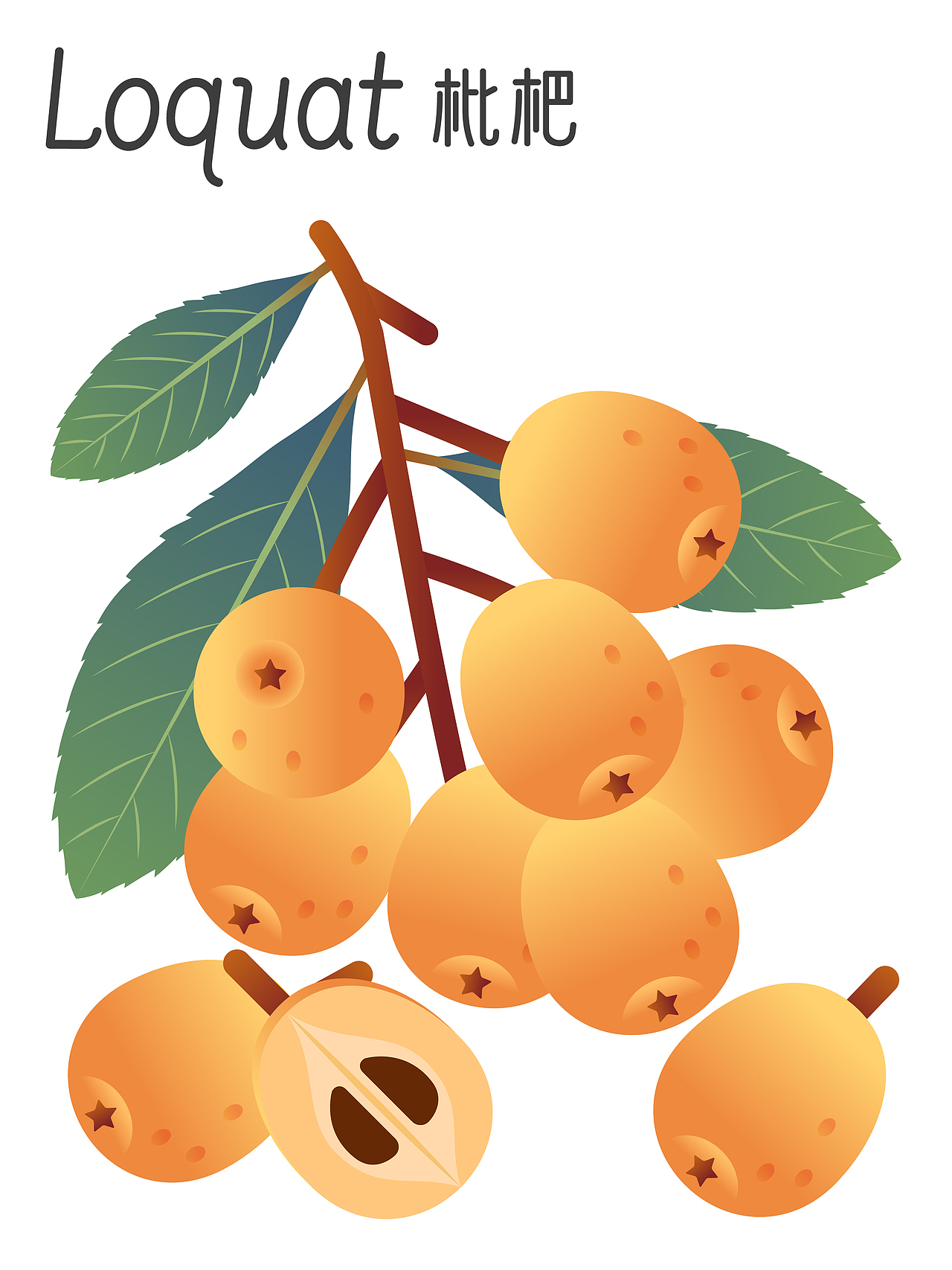 吃个水果 | 矢量扁平风渐变水果图集（图ZMzU1MjQ5NDQw） - 商业插画 - 站酷设计师江小怪原创素材 - 站酷ZCOOL