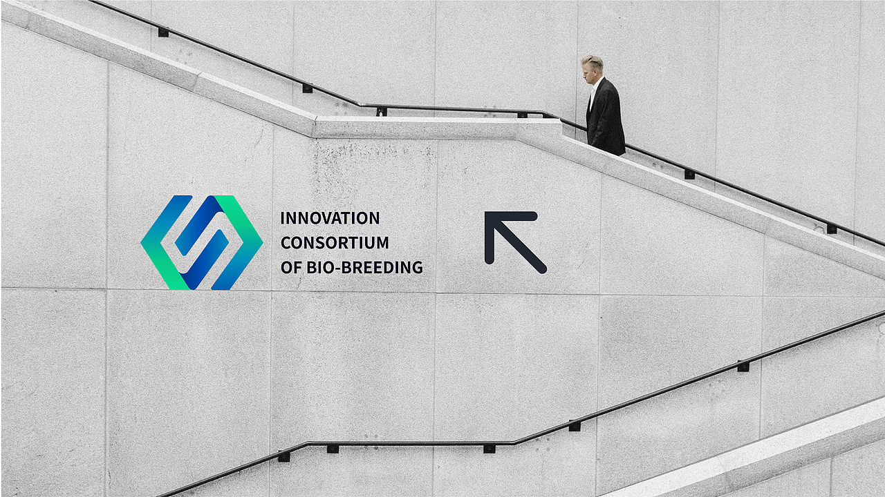 创新种业品牌设计