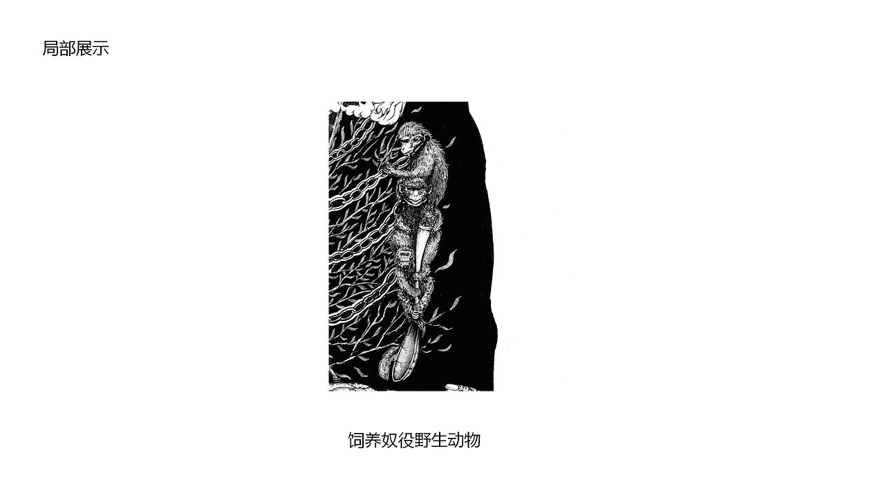 保护野生动物动态公益海报实验设计与探究