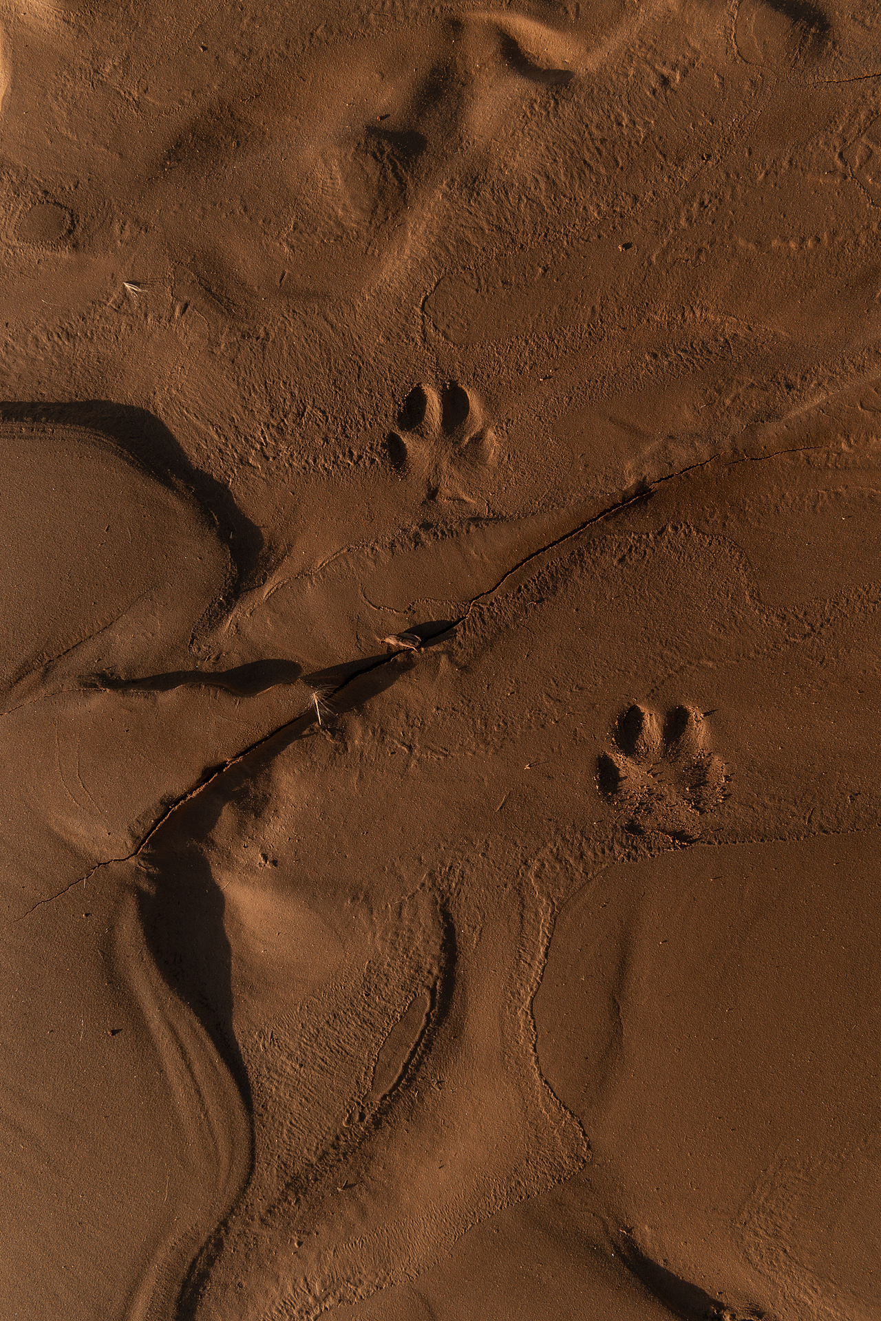 日出下的敦煌西千佛洞/党河峡谷（图ZMzM2MjM3NDgw） - 风光摄影 - 站酷设计师摄影师恩旭原创素材 - 站酷ZCOOL