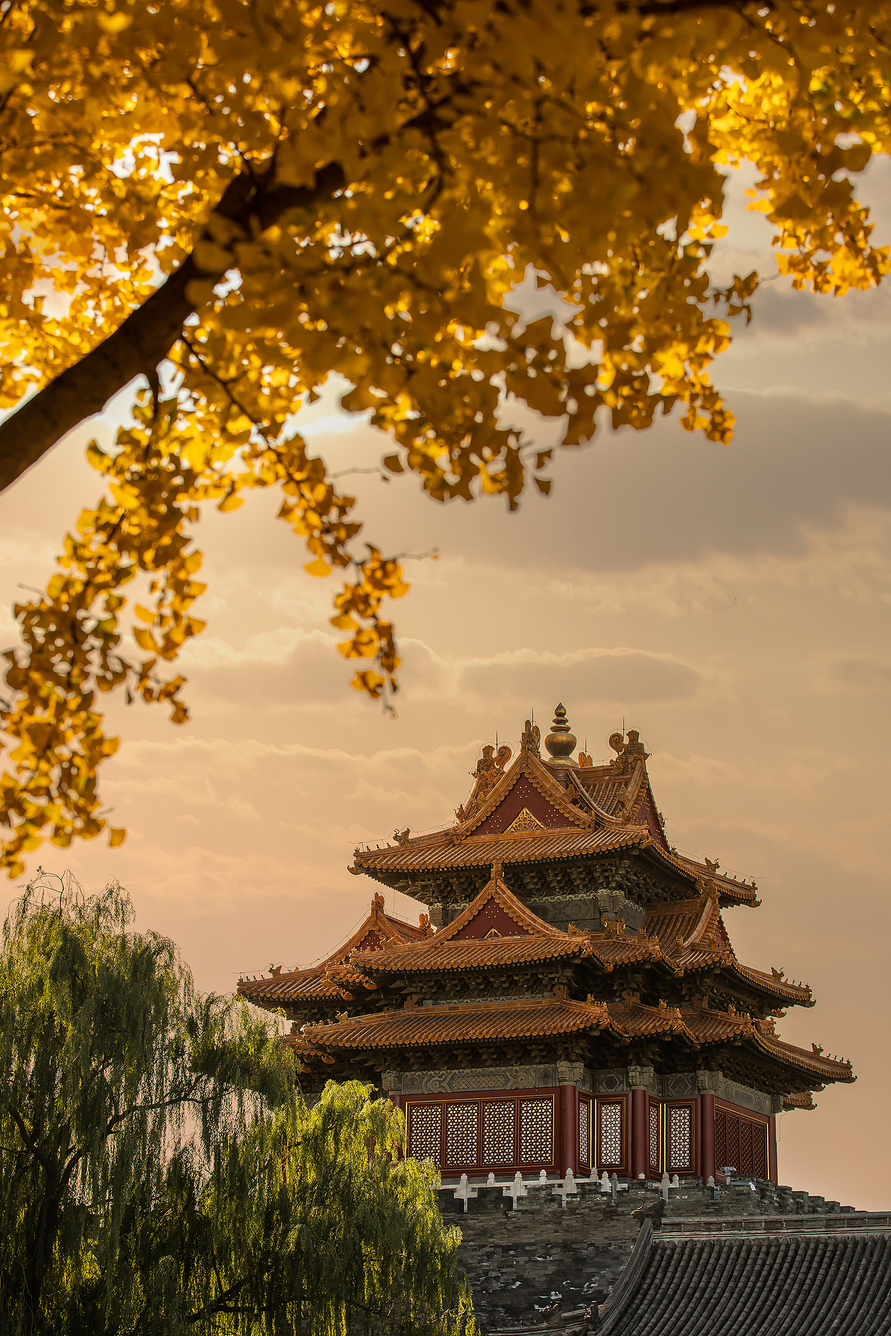 LDH DESIGN|对望皇城——鮨膳