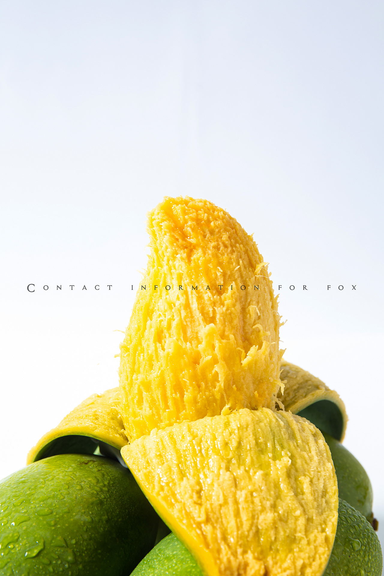 水果拍摄-百色芒果桂七电商图详情海报图拍摄案例