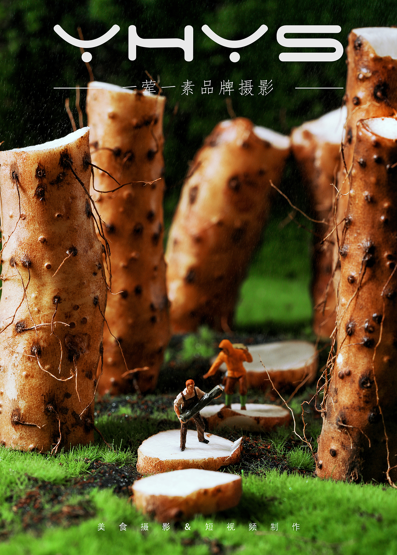 创意图拍摄农副产品一荤一素美食摄影创5用户名lulu3一荤一素美食摄影