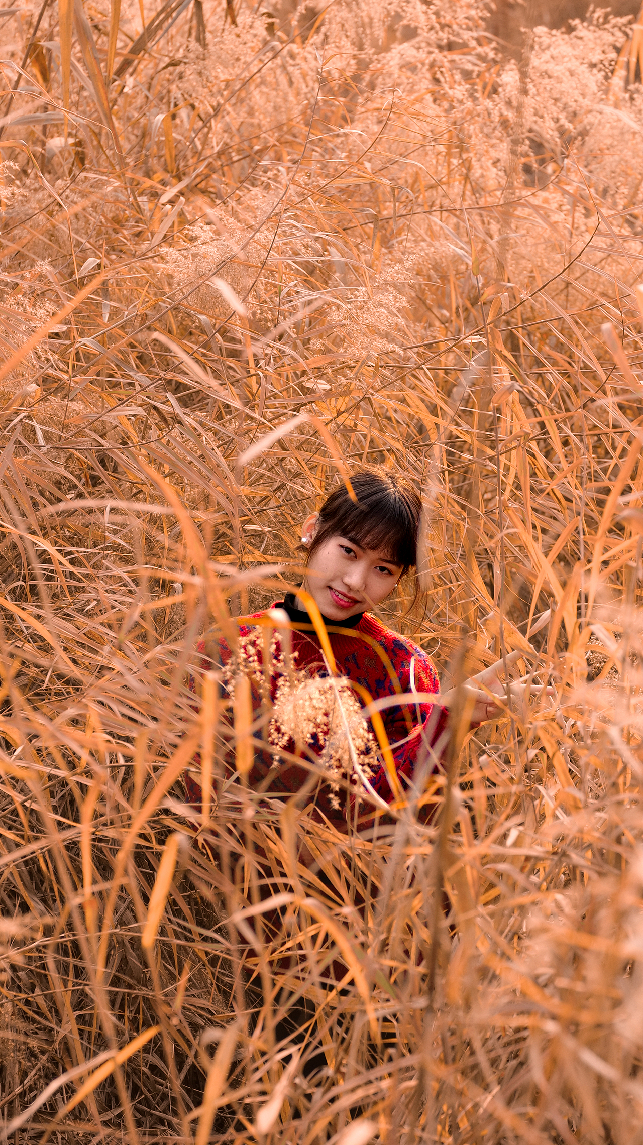 一组湖边芦苇约拍（图ZMzYxNDY5NTgw） - 人文/纪实摄影 - 站酷设计师三川摄影原创素材 - 站酷ZCOOL