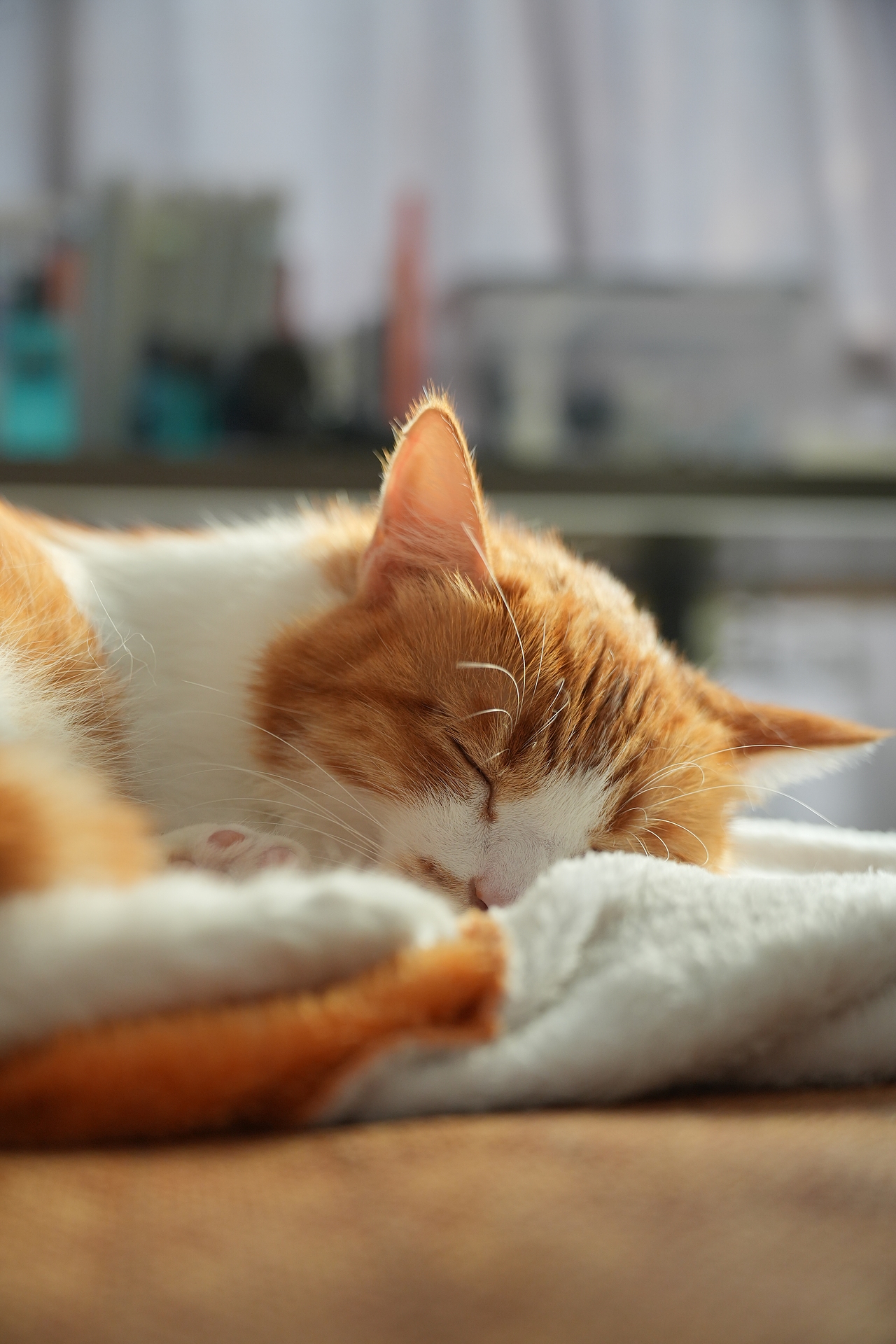 2021-2023丨年度摄影总结（图ZMzU4ODkxOTEy） - 其他摄影 - 站酷设计师陈子奕原创素材 - 站酷ZCOOL