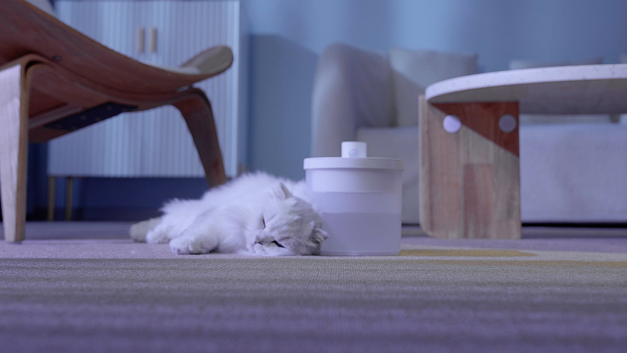 宠物饮水机/猫咪饮水机视频