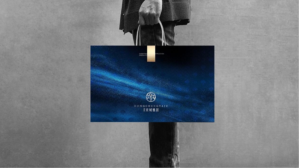 盛世·东城雅居（图ZMzAwNDEwMjU2） - Logo - 站酷设计师Magicing原创素材 - 站酷ZCOOL