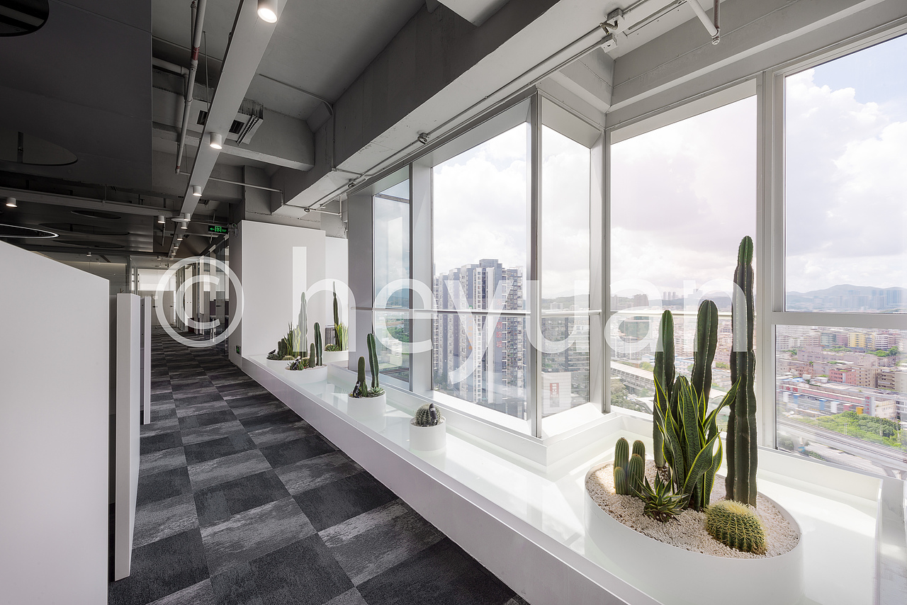 办公空间拍摄 写字楼空间摄影