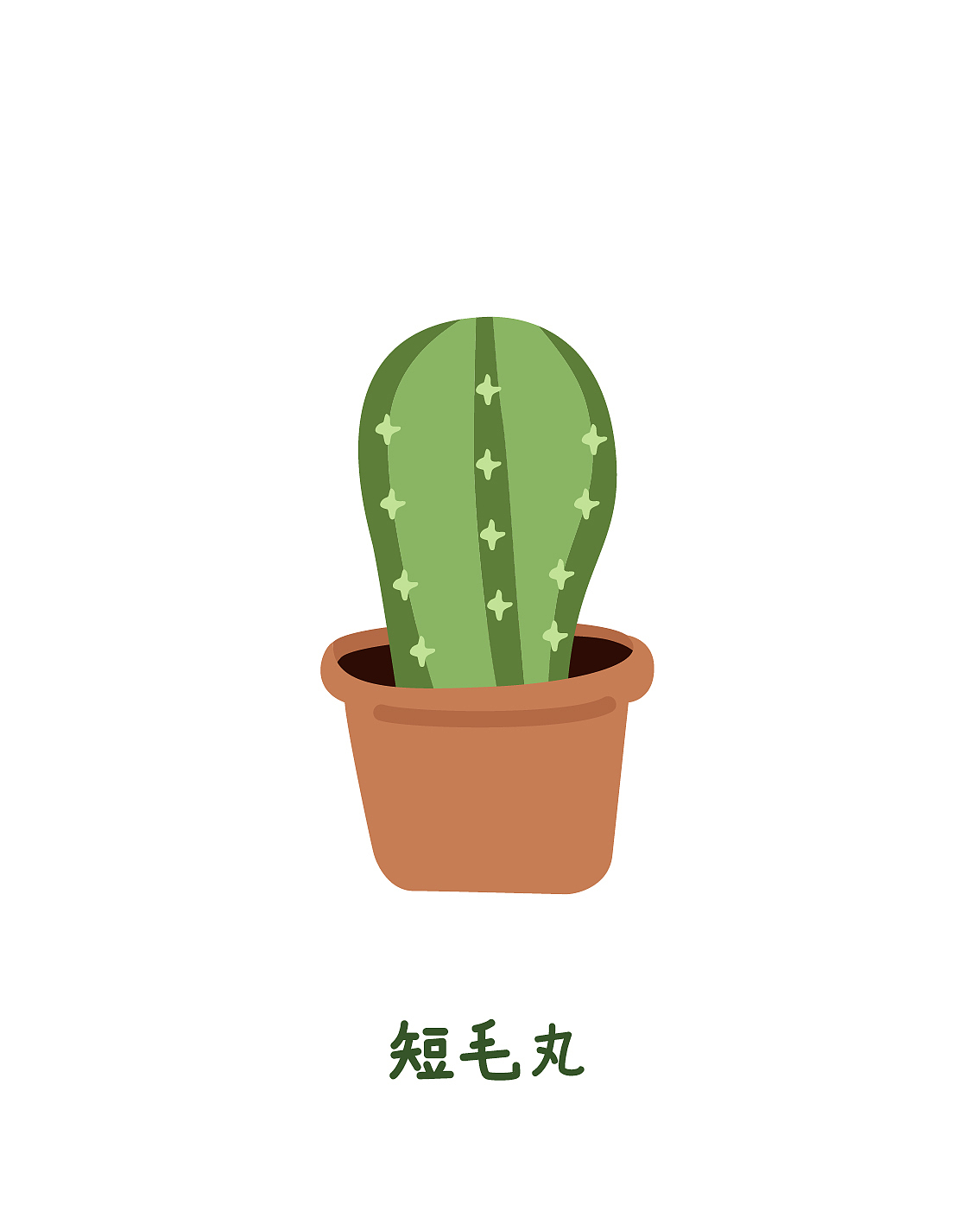 插画习作 | 仙人掌