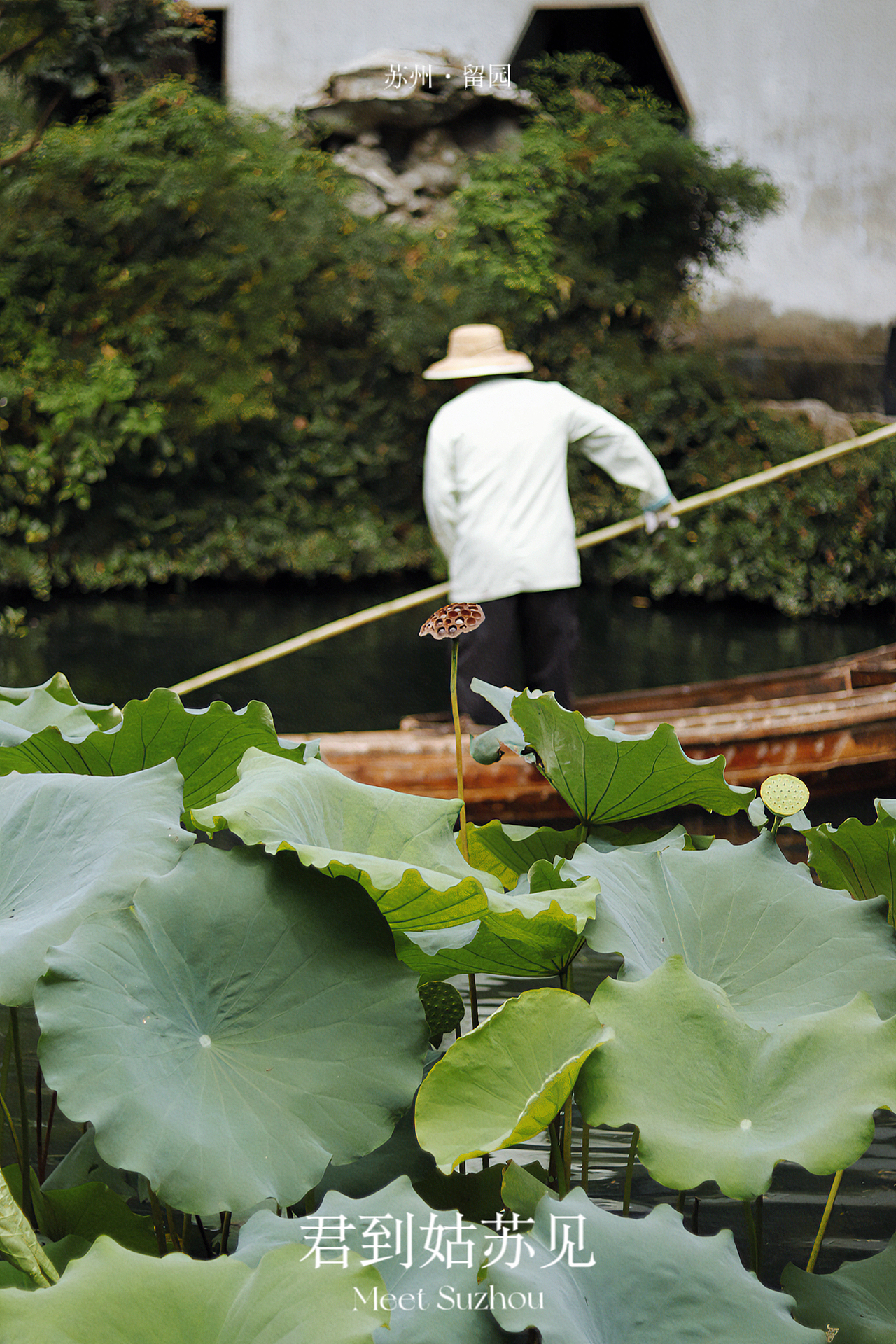 君到姑苏见|苏州·留园-中式美学摄影